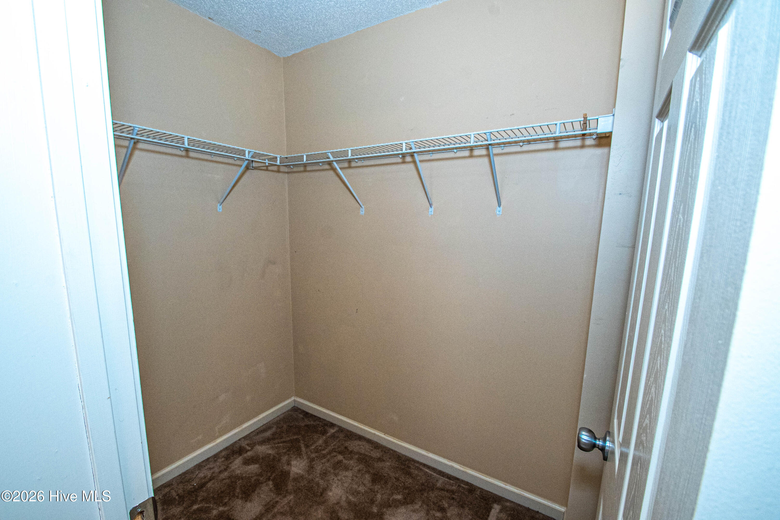 100567931 | Photo 39