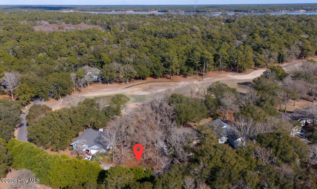 100554365 | Photo 11