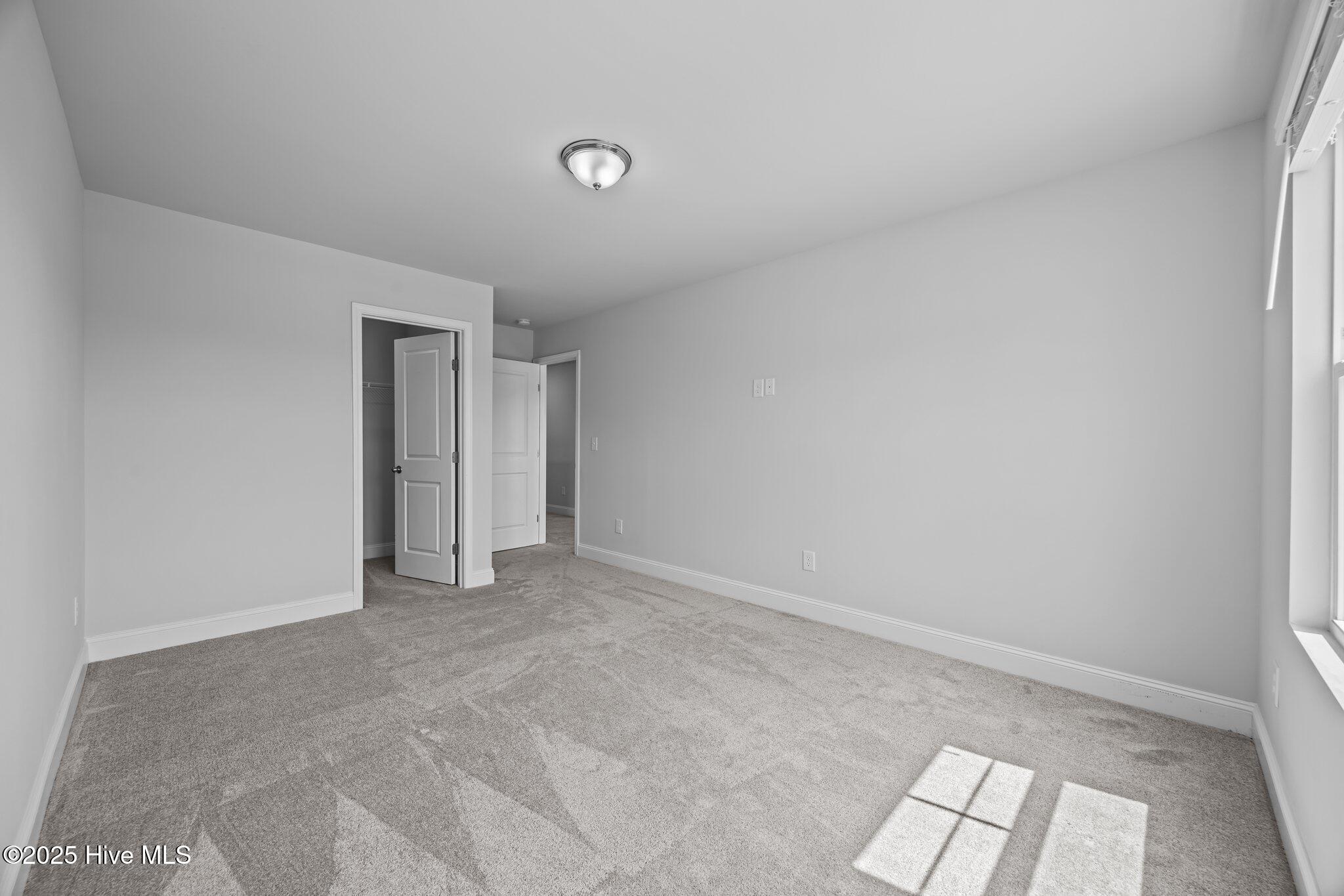 100503242 | Photo 41