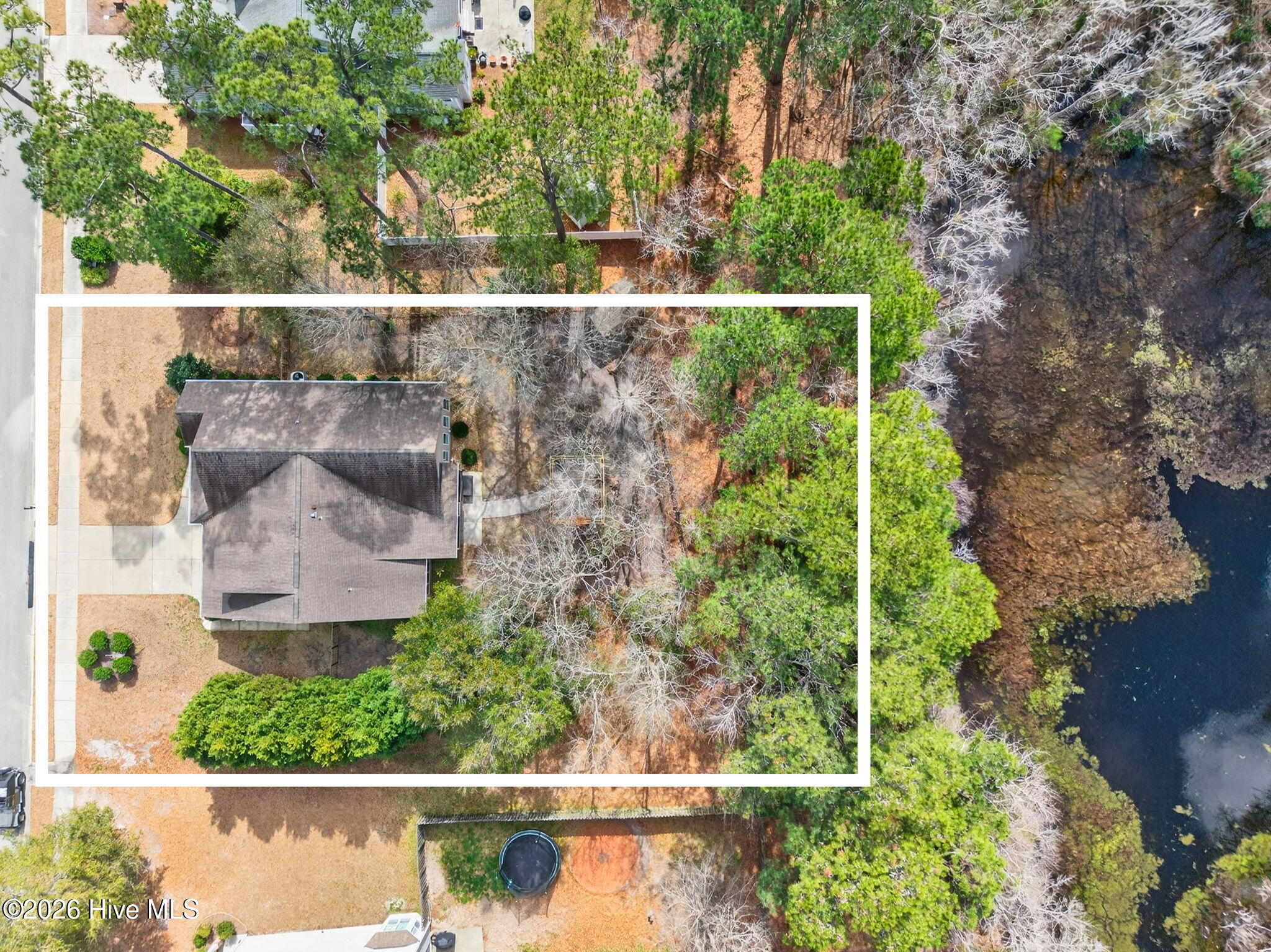 100558645 | Photo 41