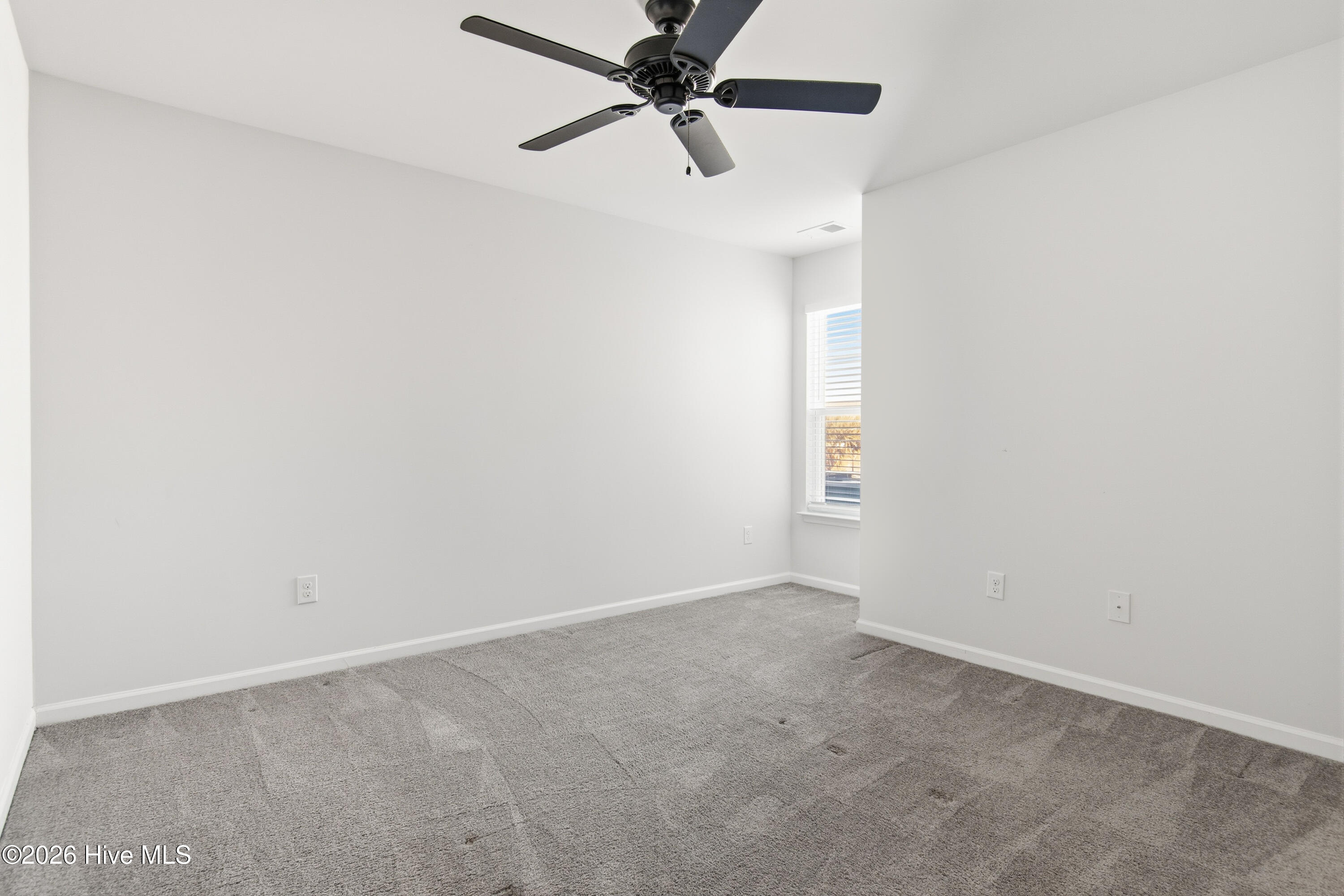 100554412 | Photo 15