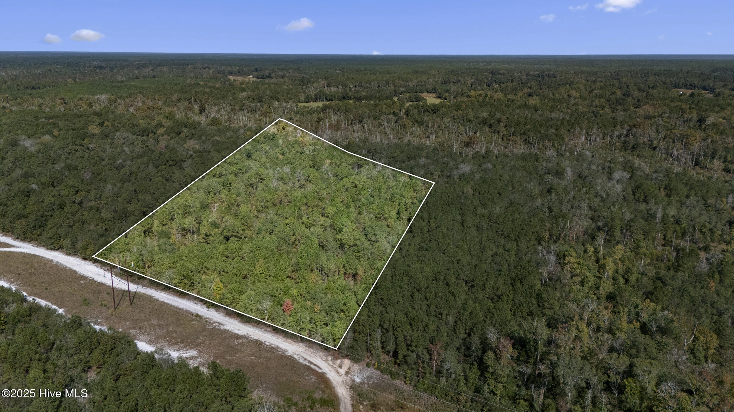 100536371 | Photo 35