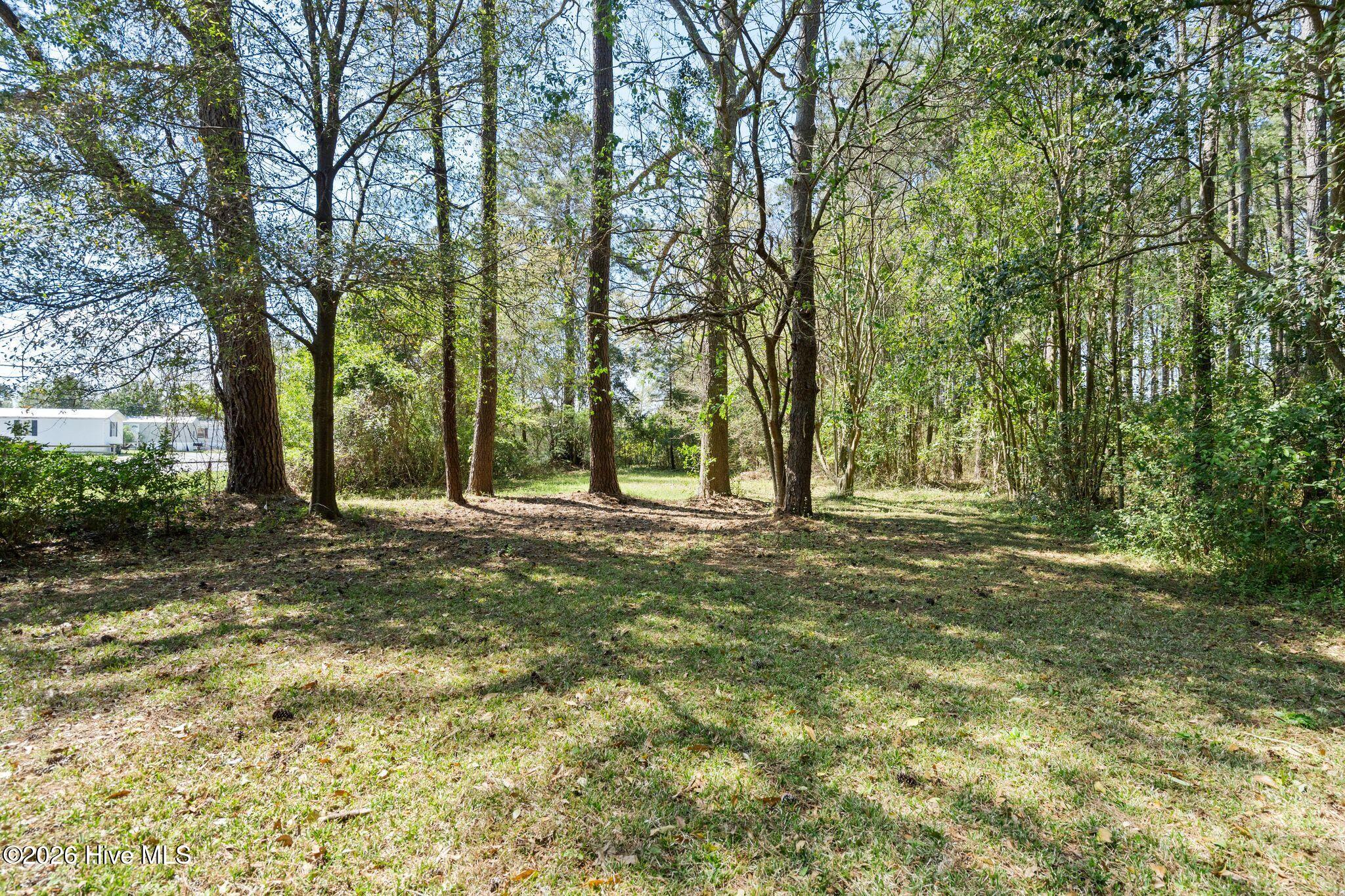 100563696 | Photo 30