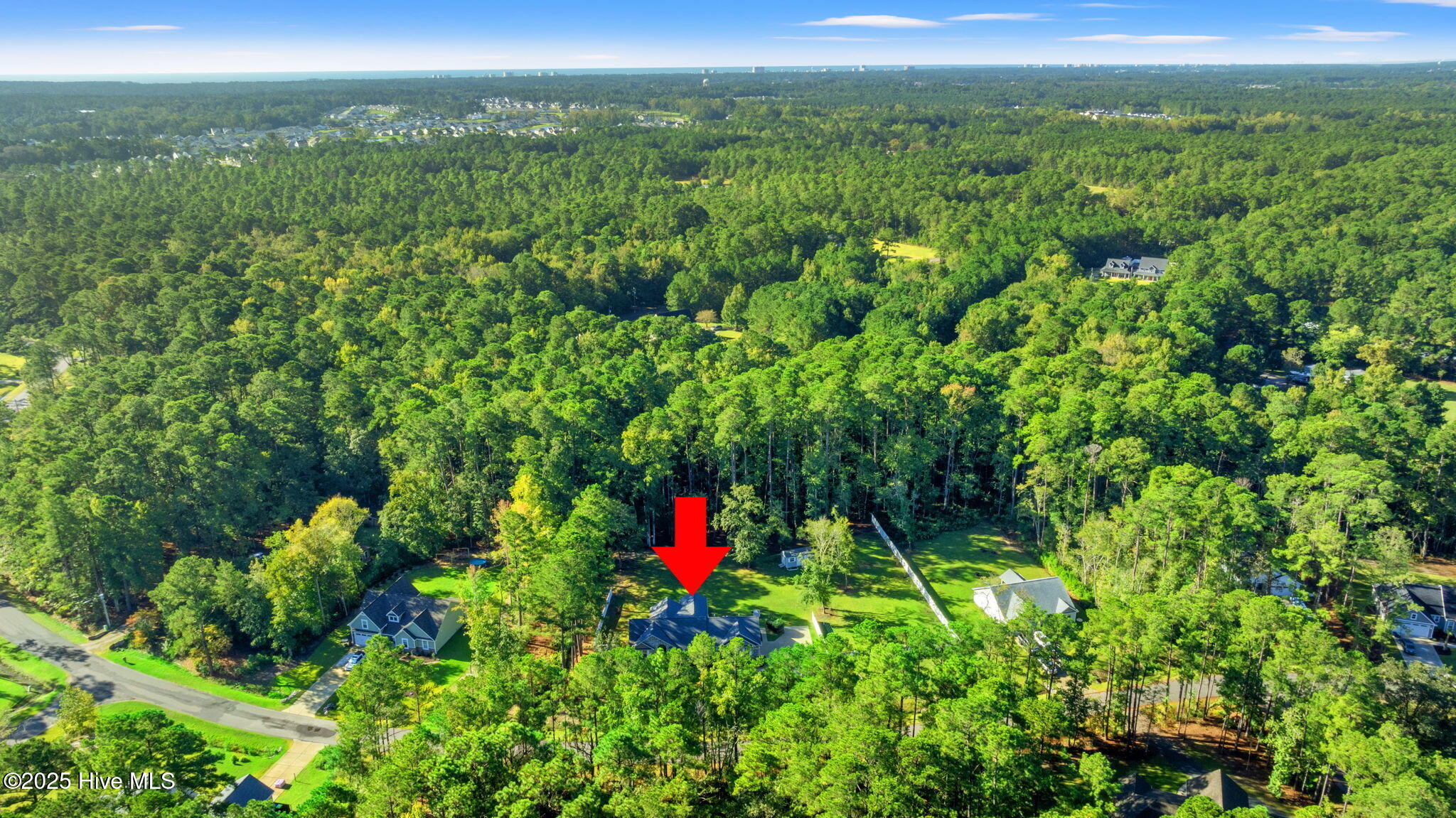 100535002 | Photo 34