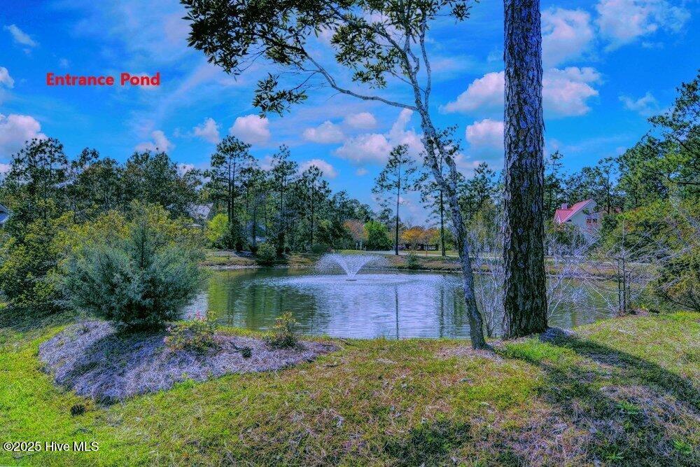 100513085 | Photo 83