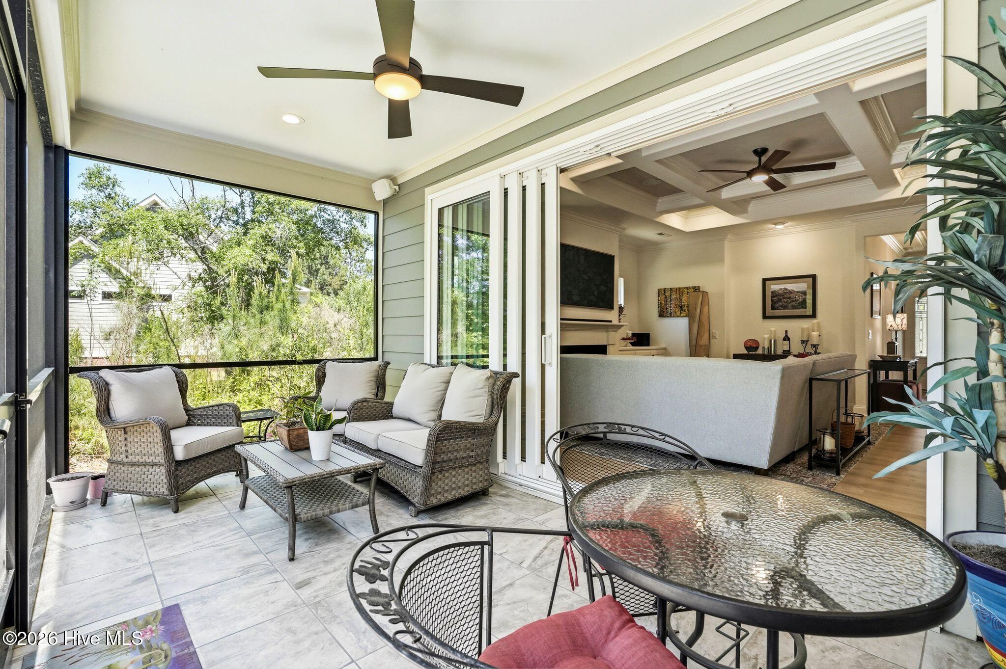 100569004 | Photo 45