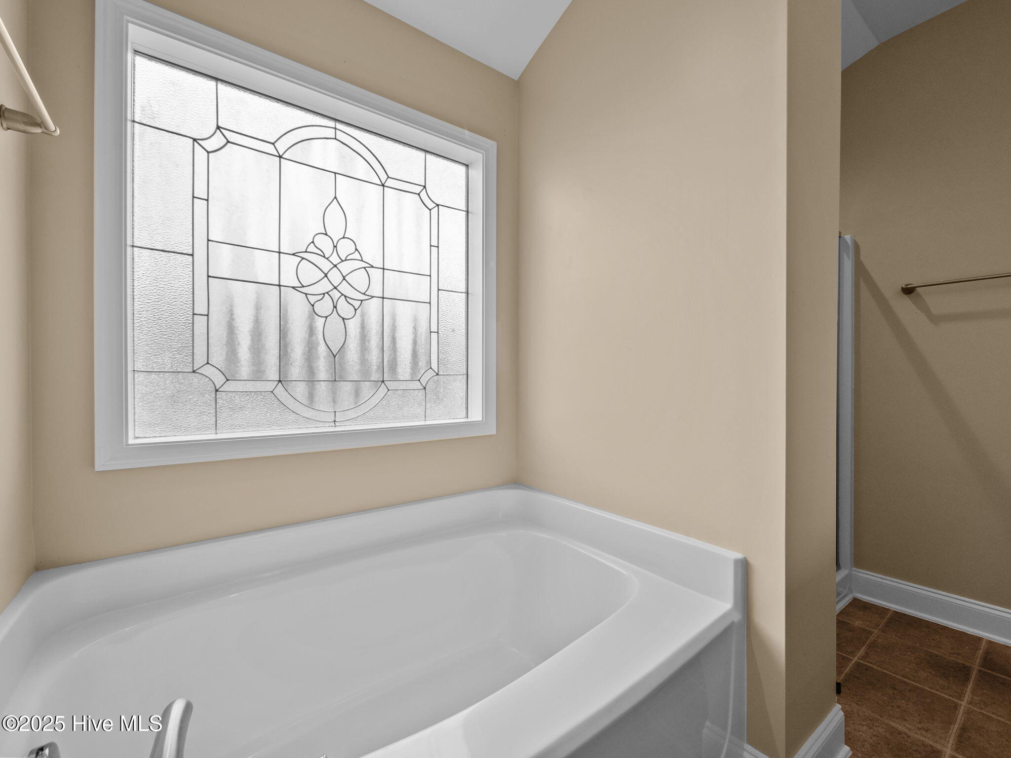 100556679 | Photo 29