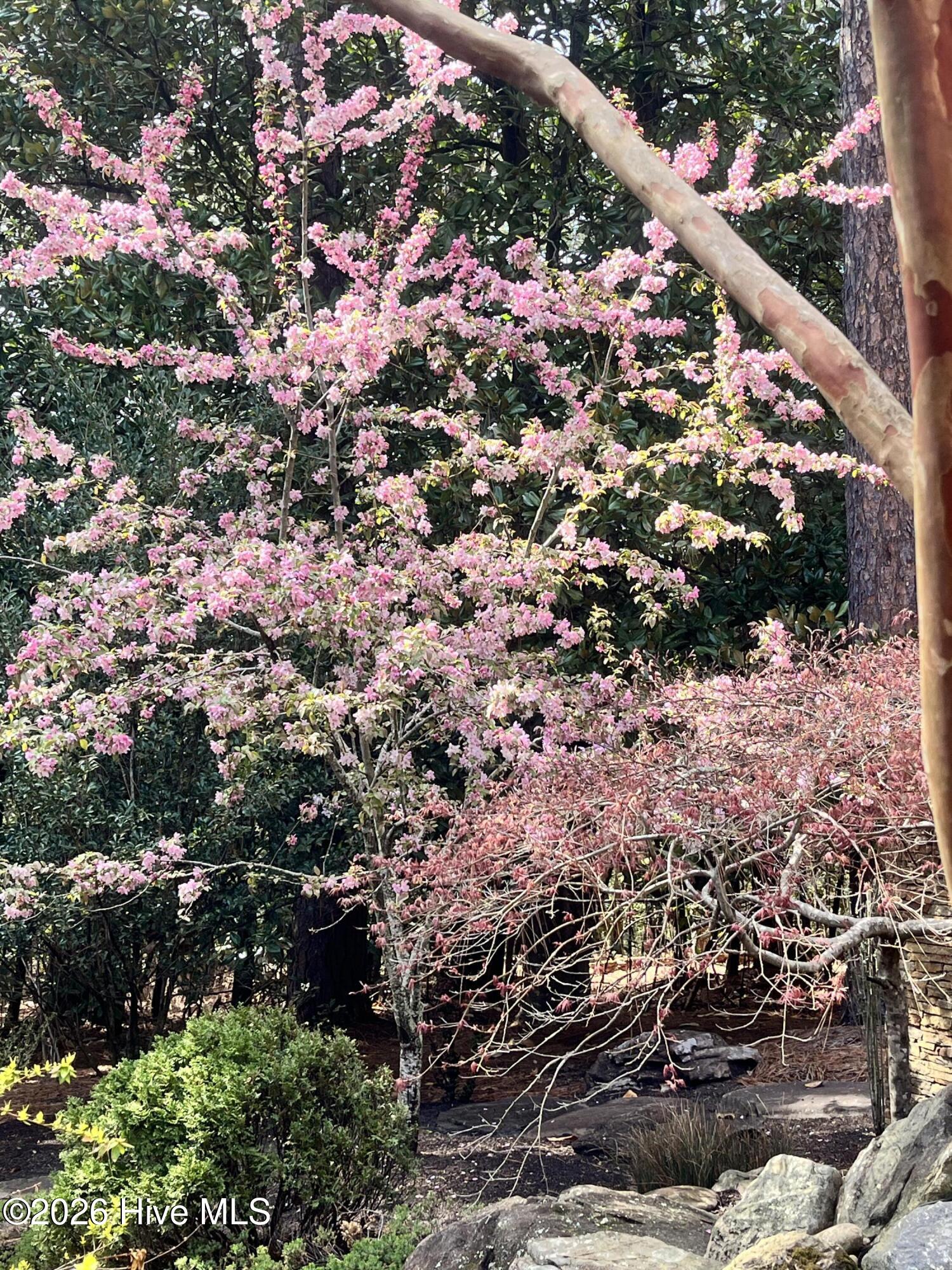 4 Augusta Way, Pinehurst, NC, 28374