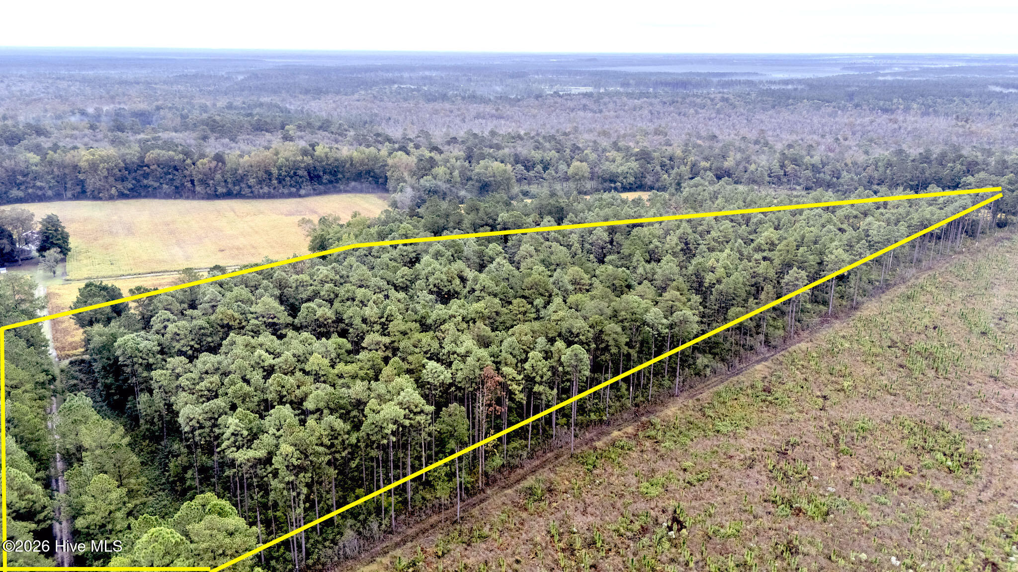 10.57 Ac Egypt Road NW, Ash, NC, 28420