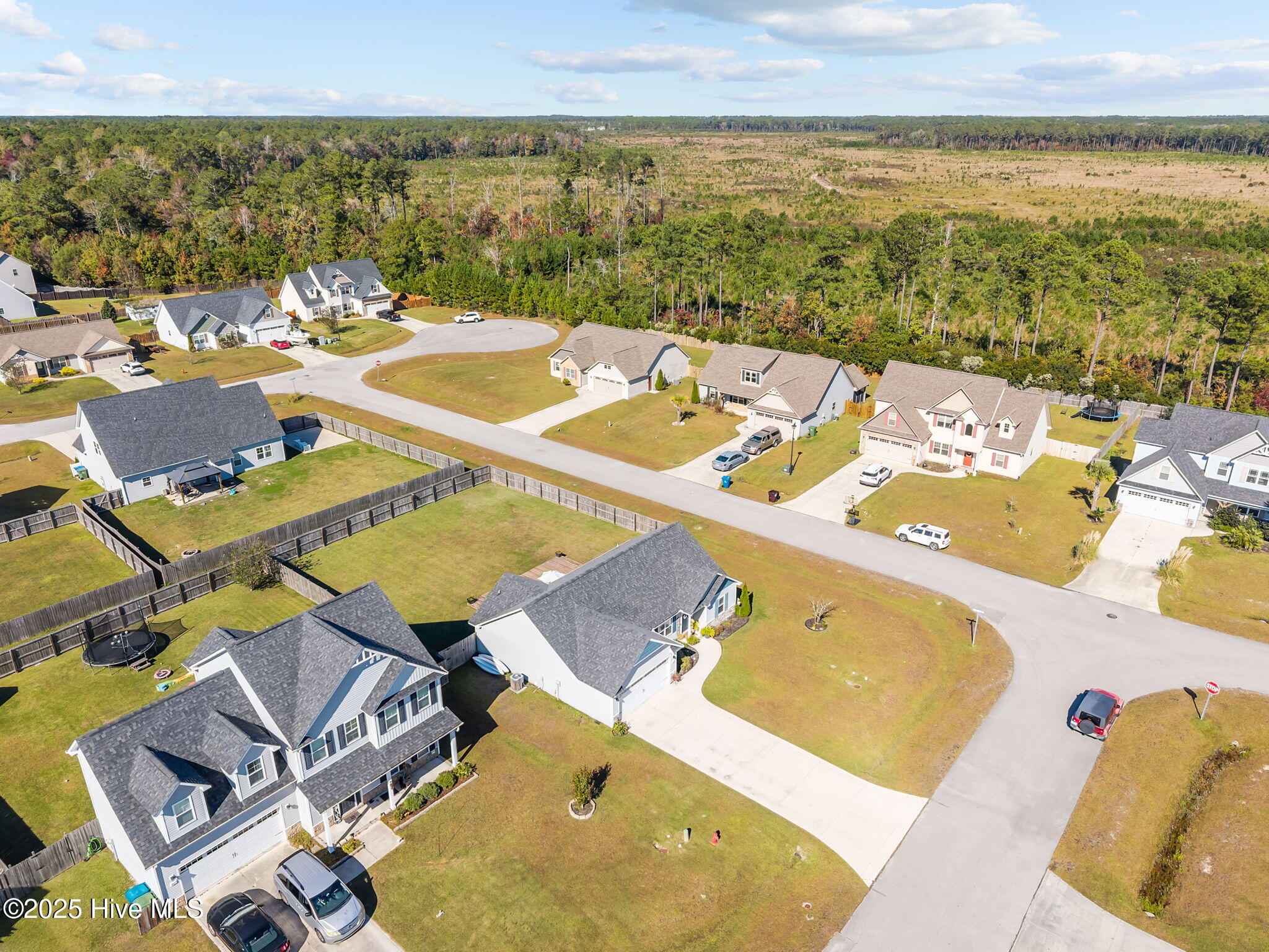 100537004 | Photo 46