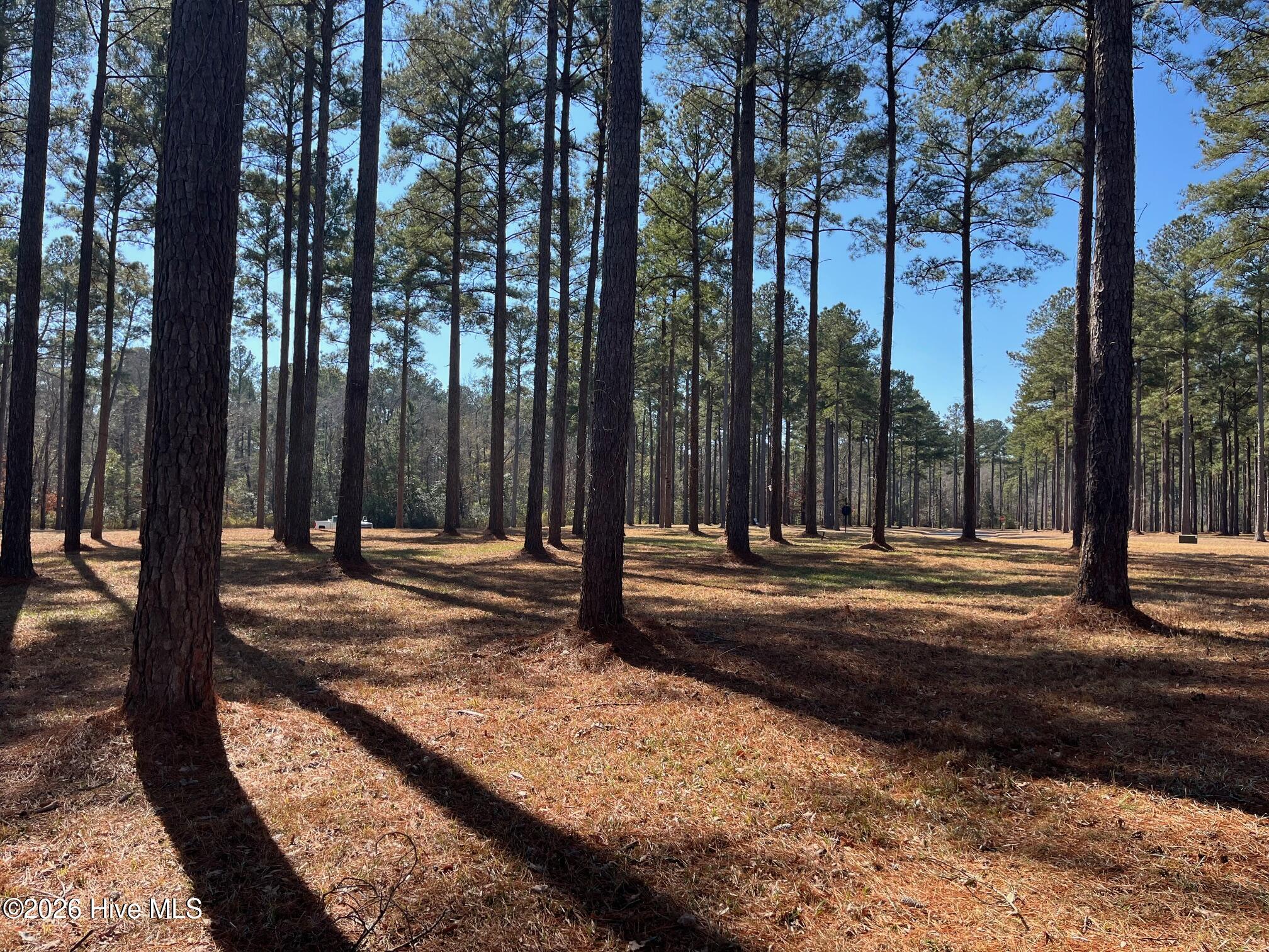2 122 Bald Head Island Court S,Oriental