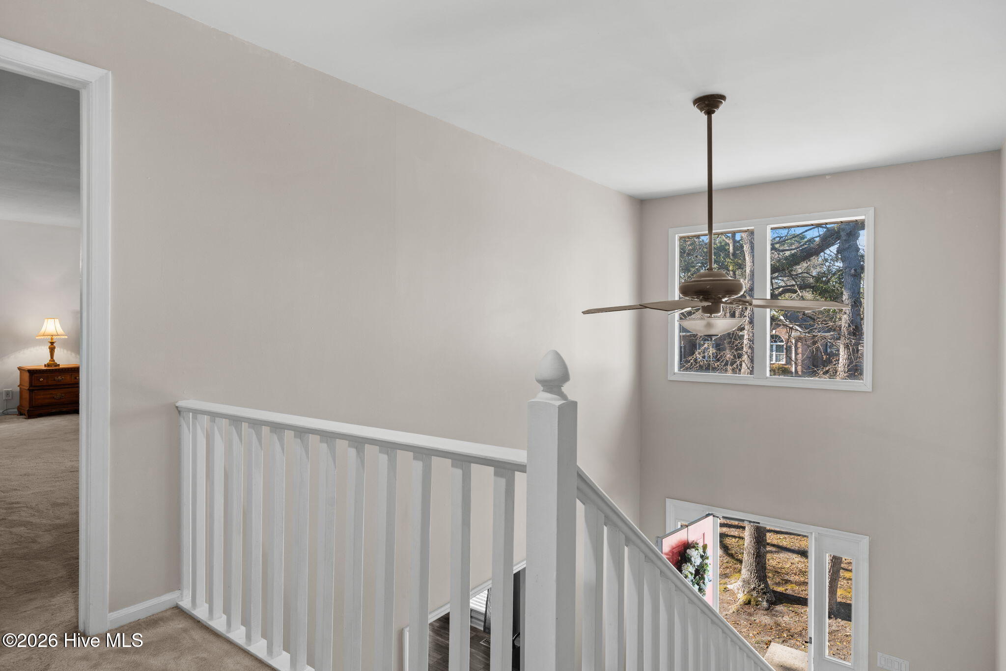 100562881 | Photo 28