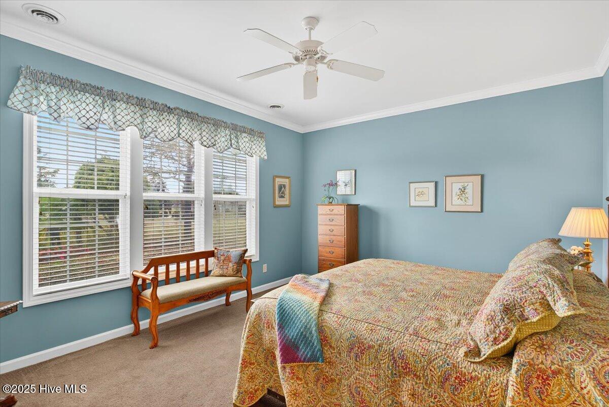 100539868 | Photo 24