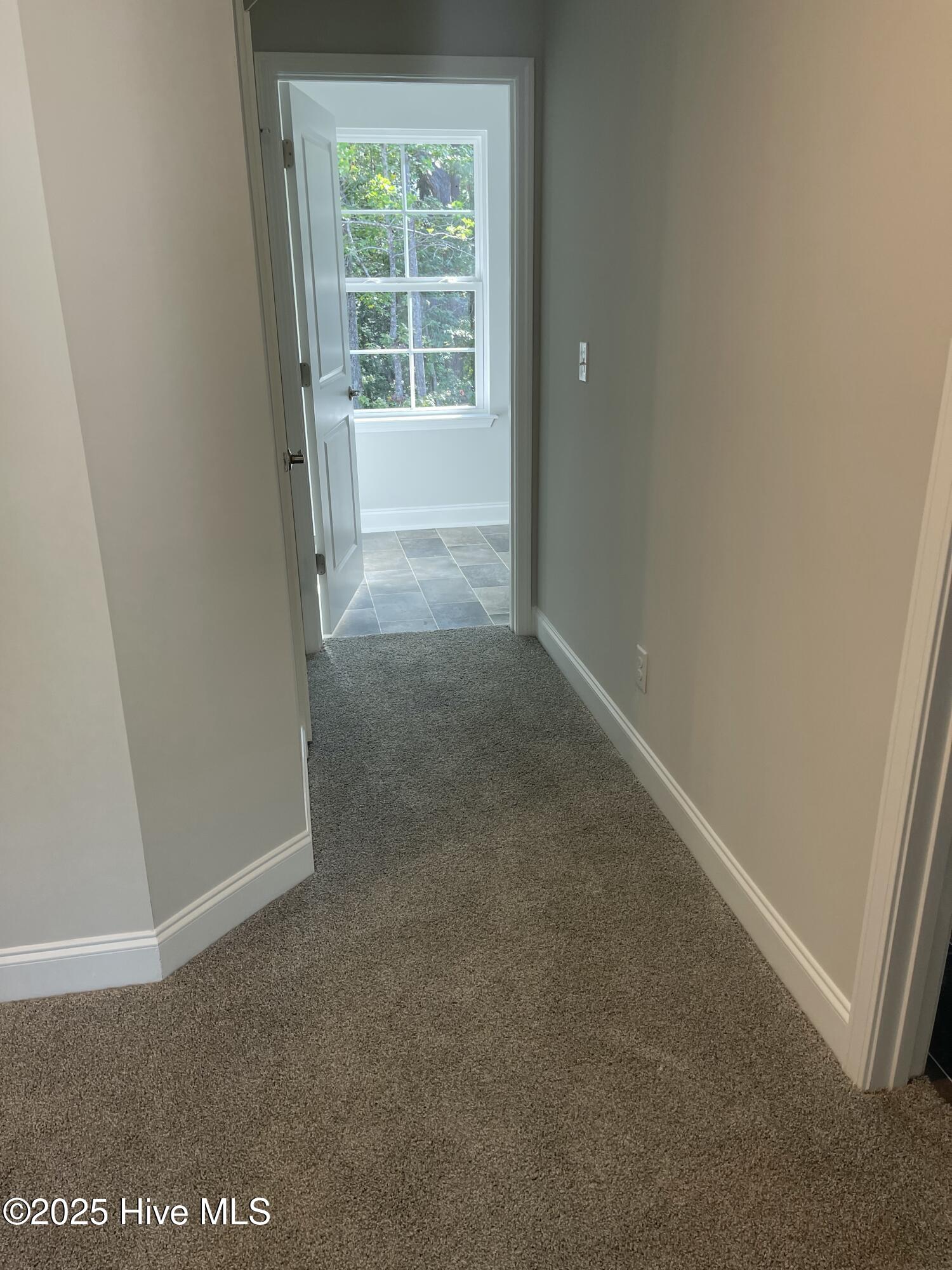 100422269 | Photo 55