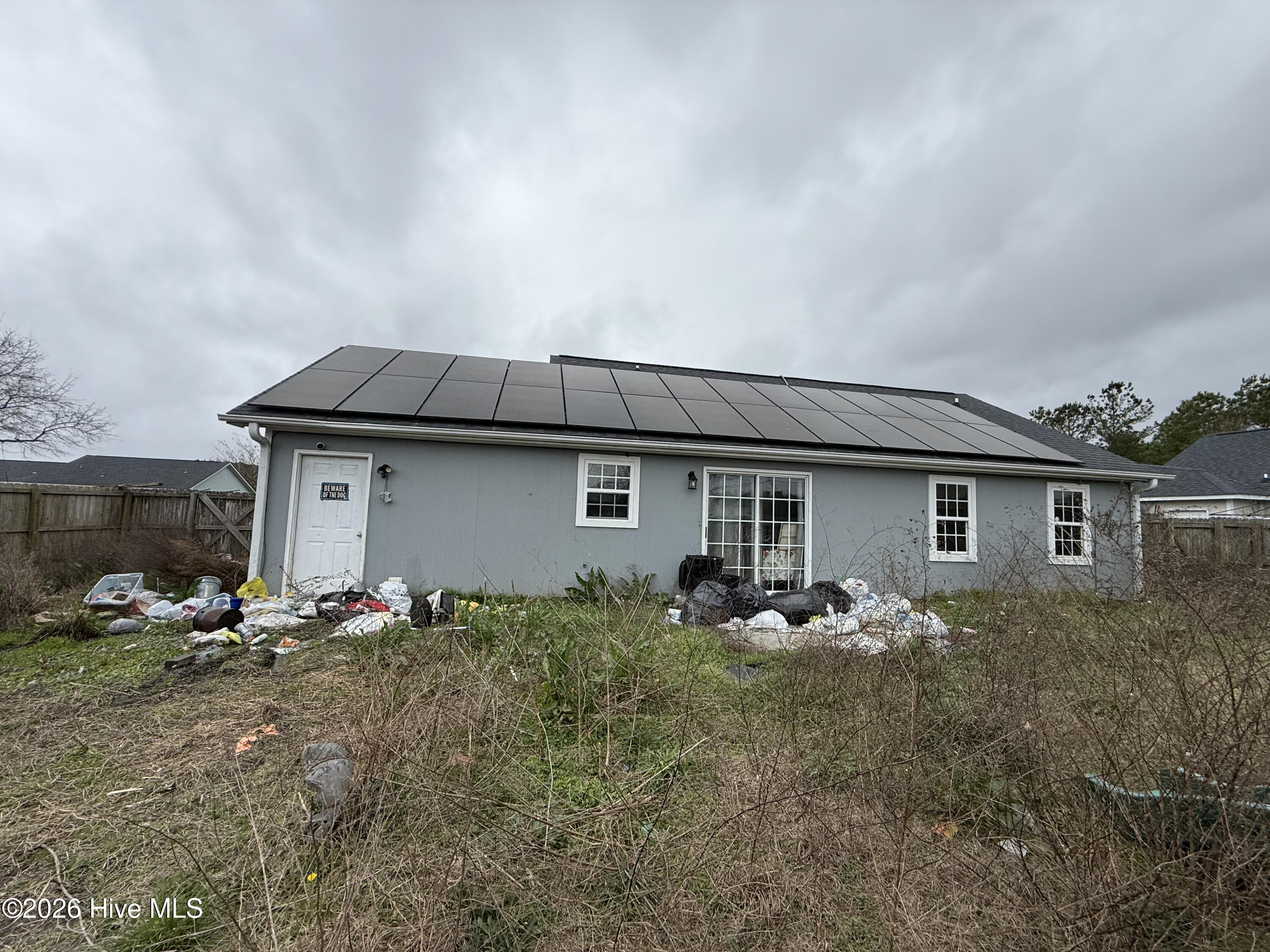 100562239 | Photo 10