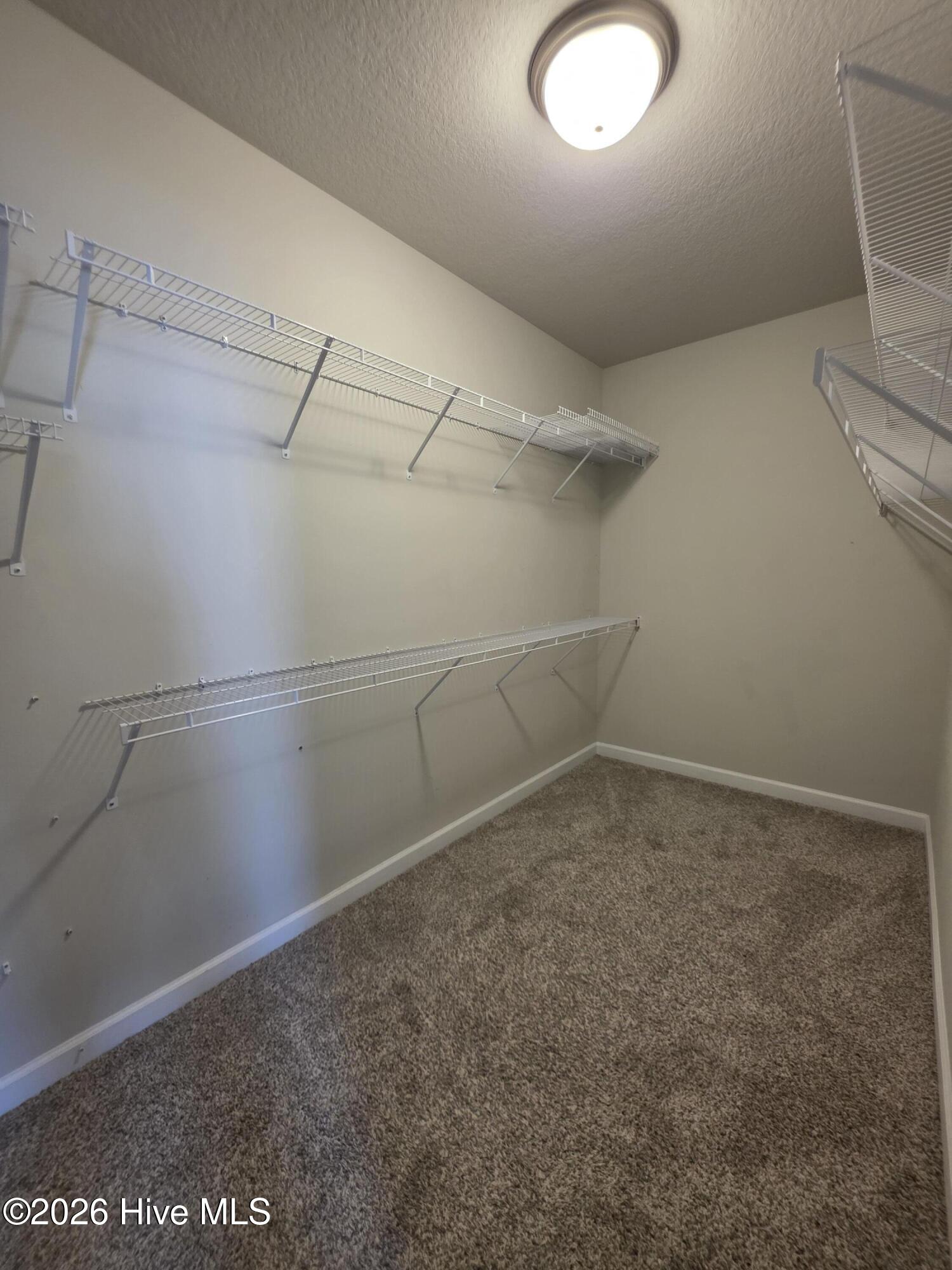 100560644 | Photo 12