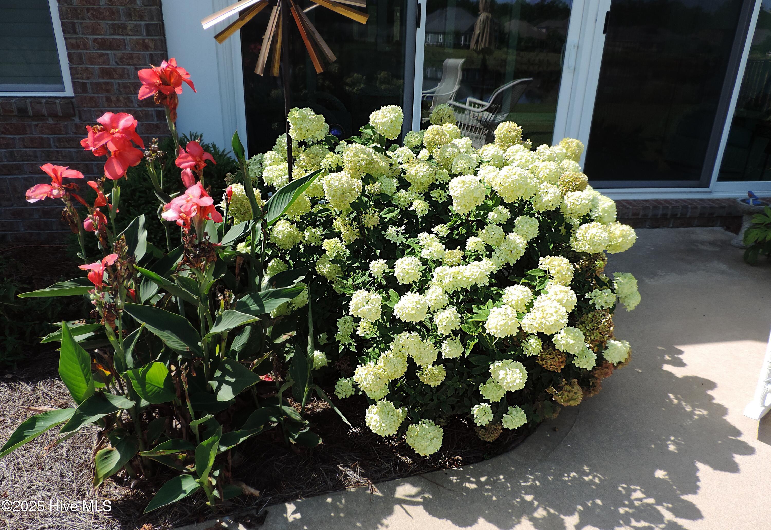 100534763 | Photo 48