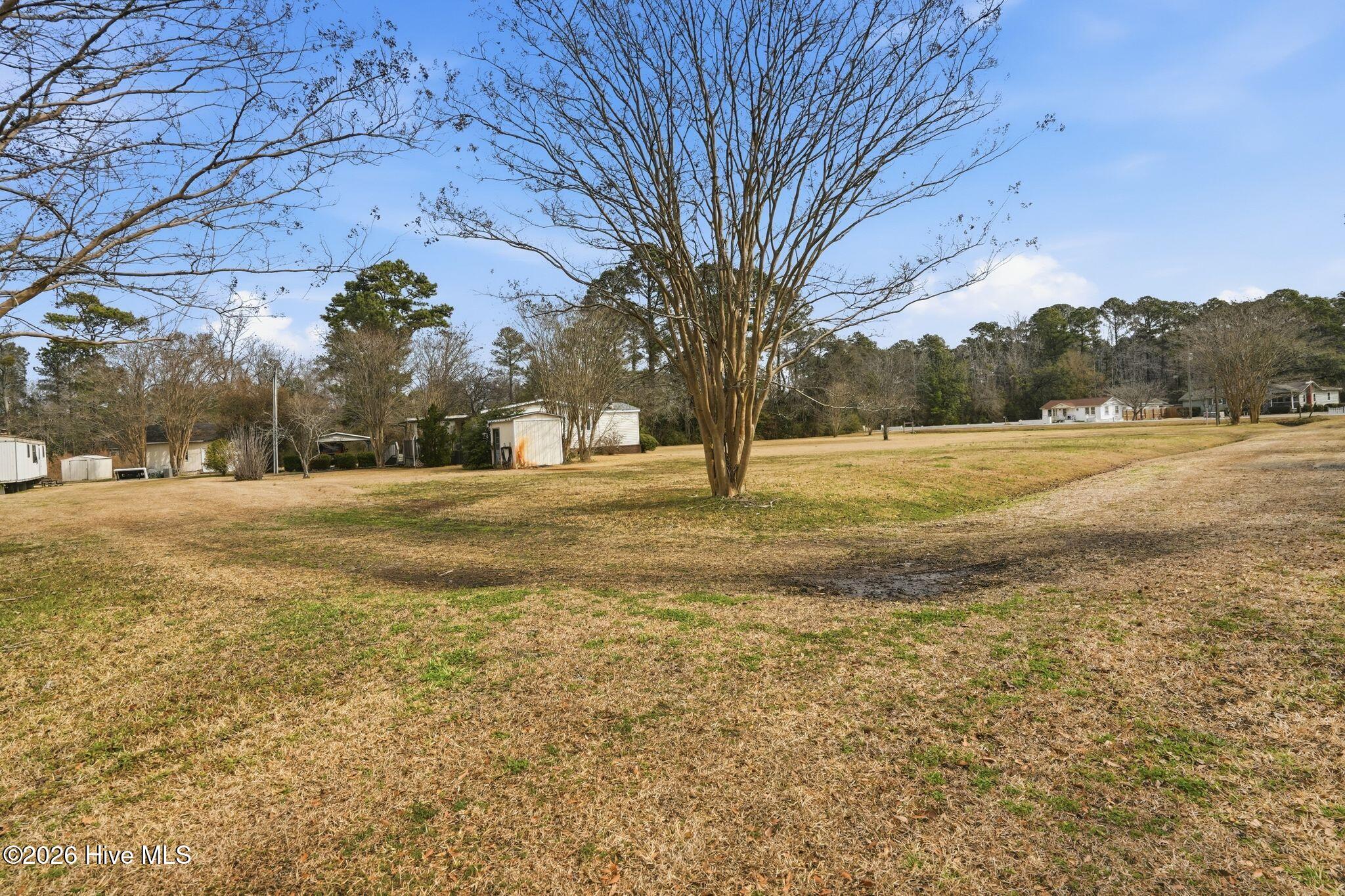 100556115 | Photo 16