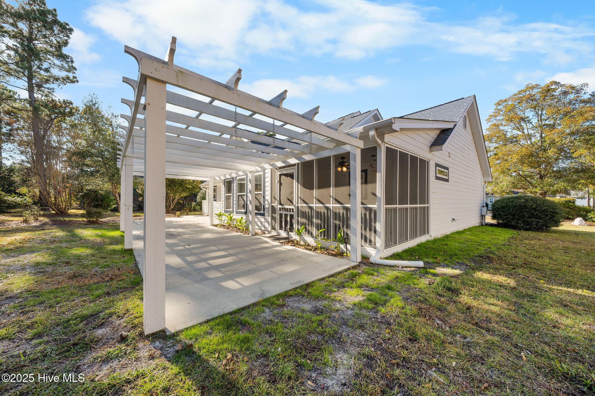 100541401 | Photo 43