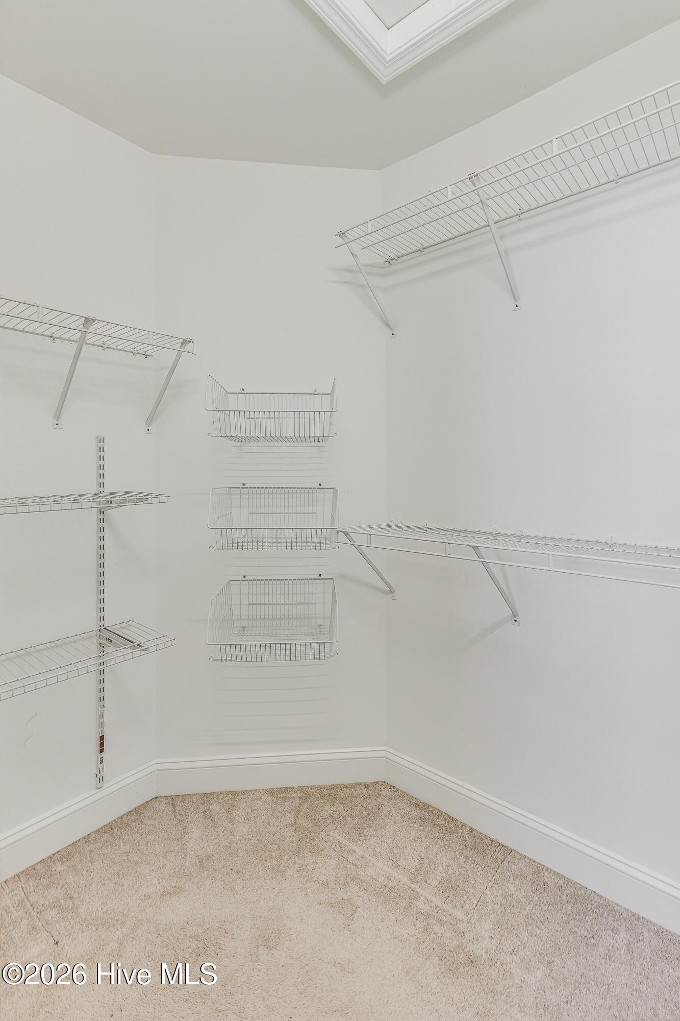 100559243 | Photo 18