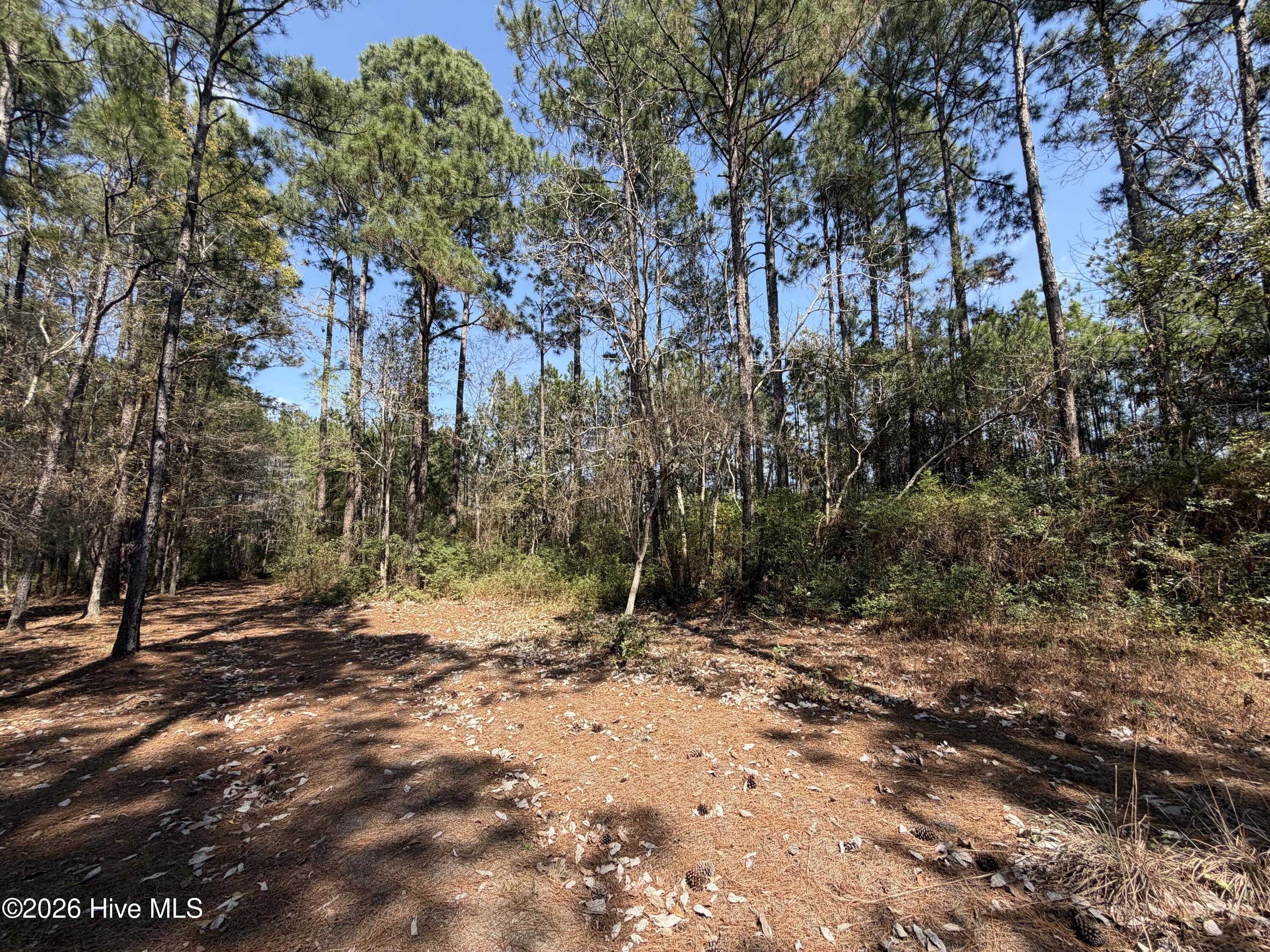 6786 Holton Place, Ocean Isle Beach, NC, 28469