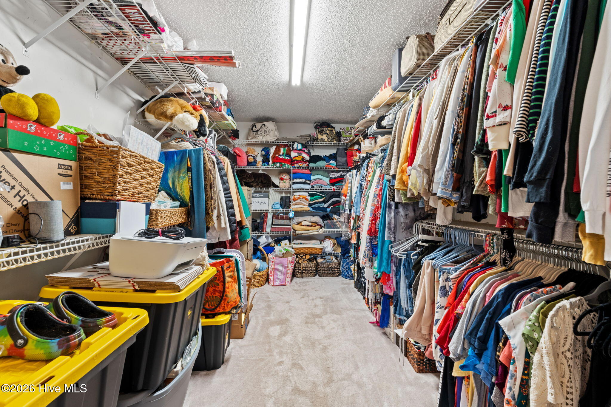 100562881 | Photo 34