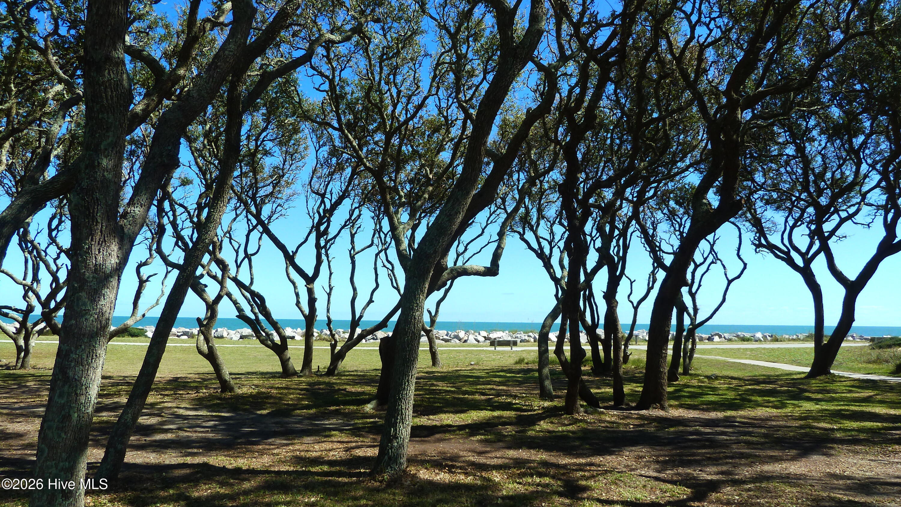 100559910 | Photo 60