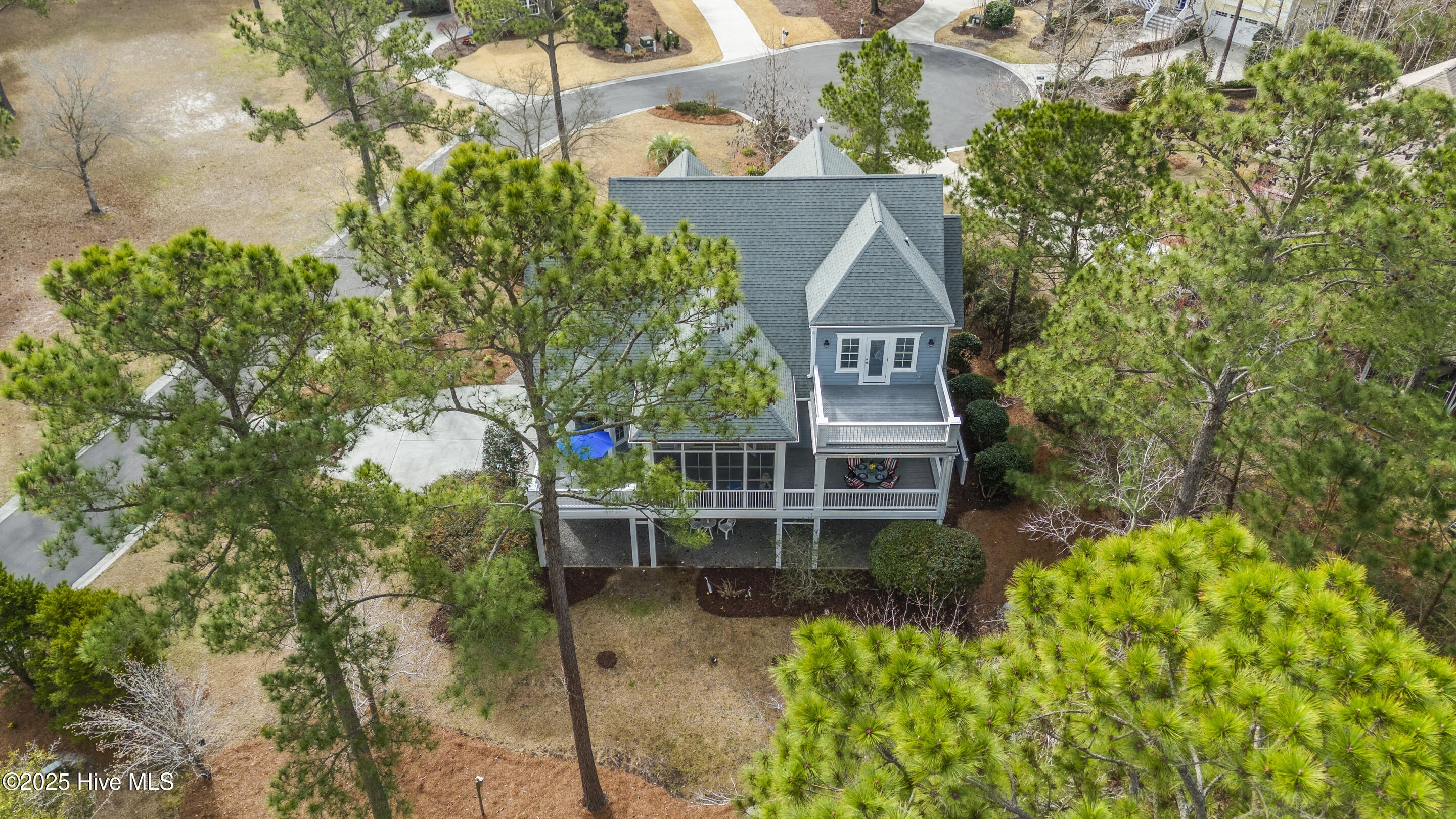 100493610 | Photo 107