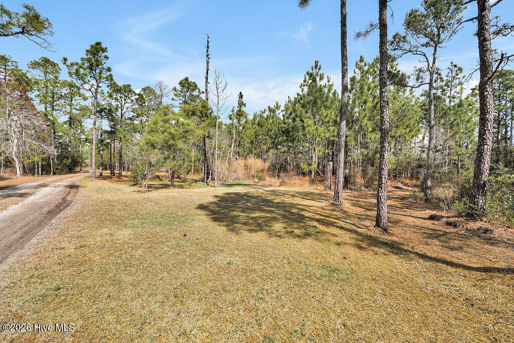 100560144 | Photo 35