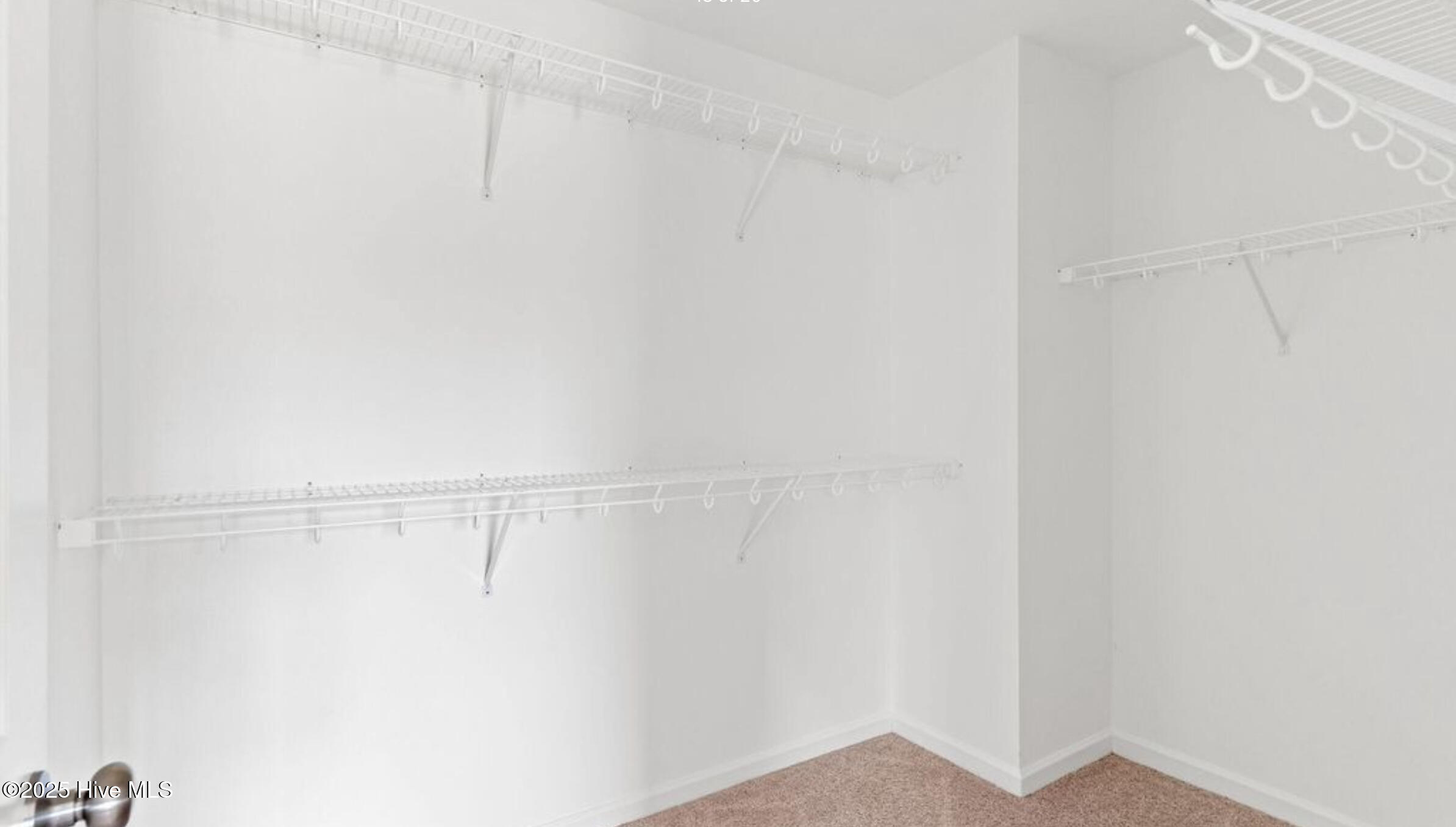 100534844 | Photo 12