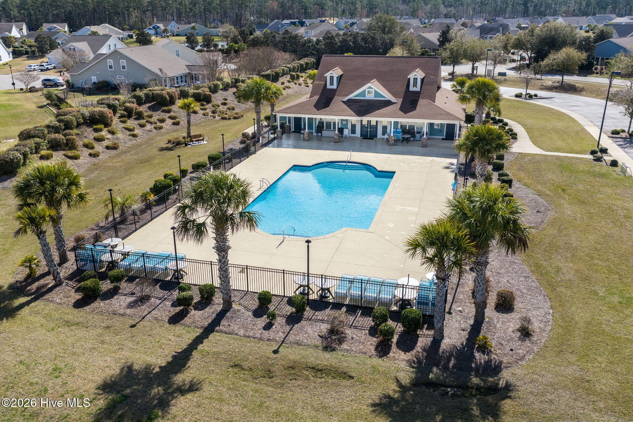 100559245 | Photo 30