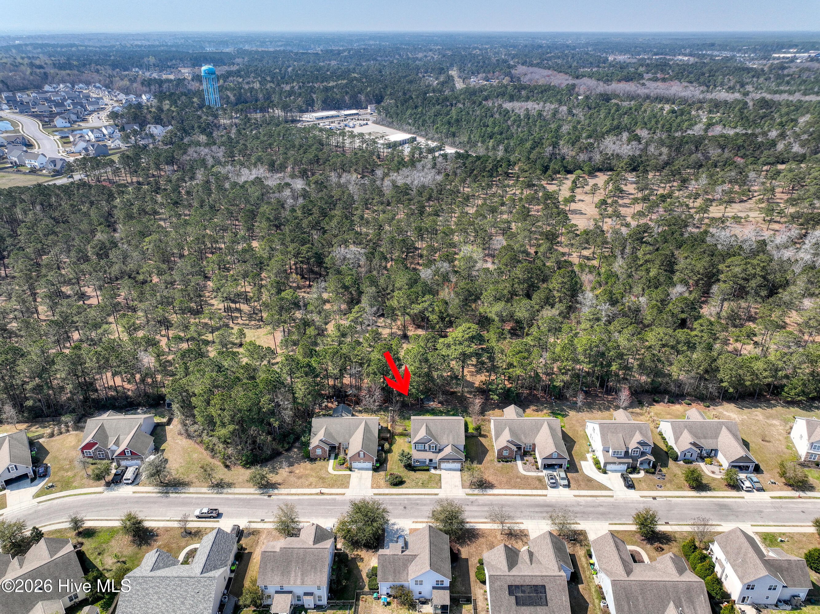 100562965 | Photo 11