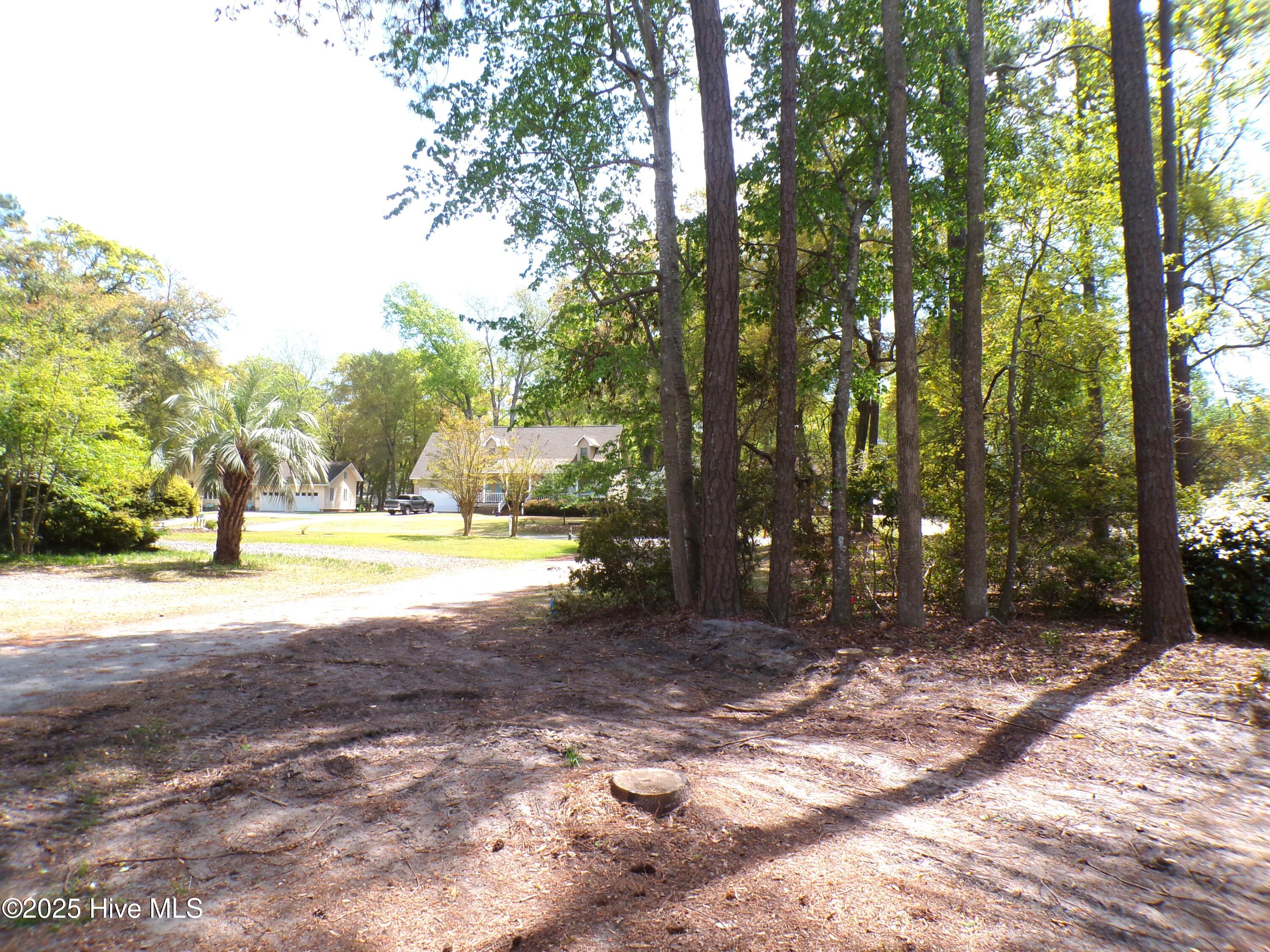 100499822 | Photo 16