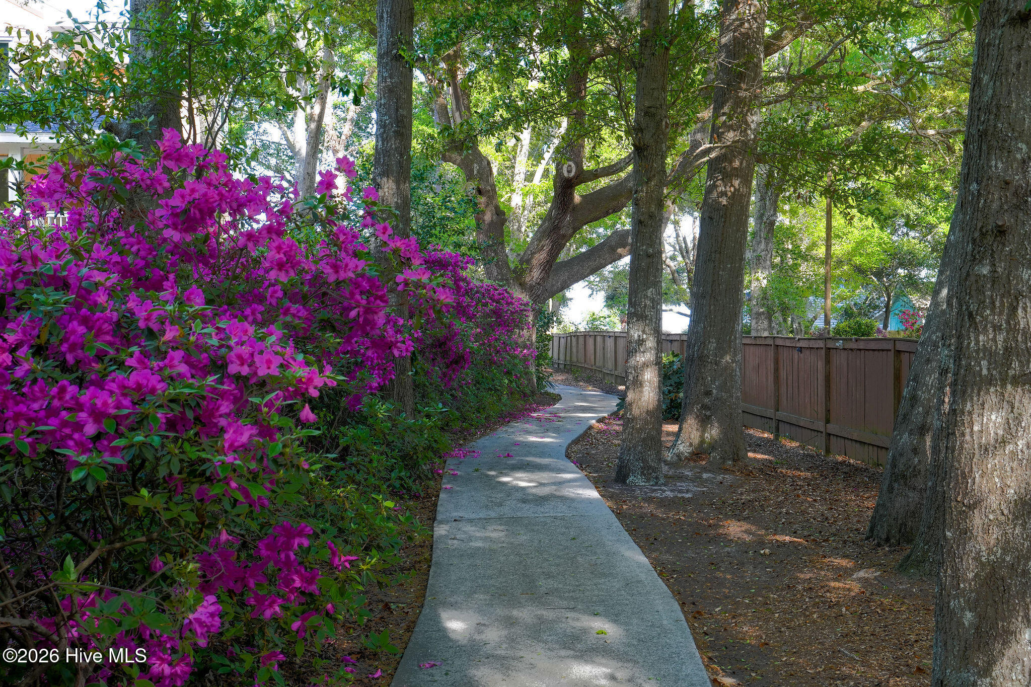 100567317 | Photo 77