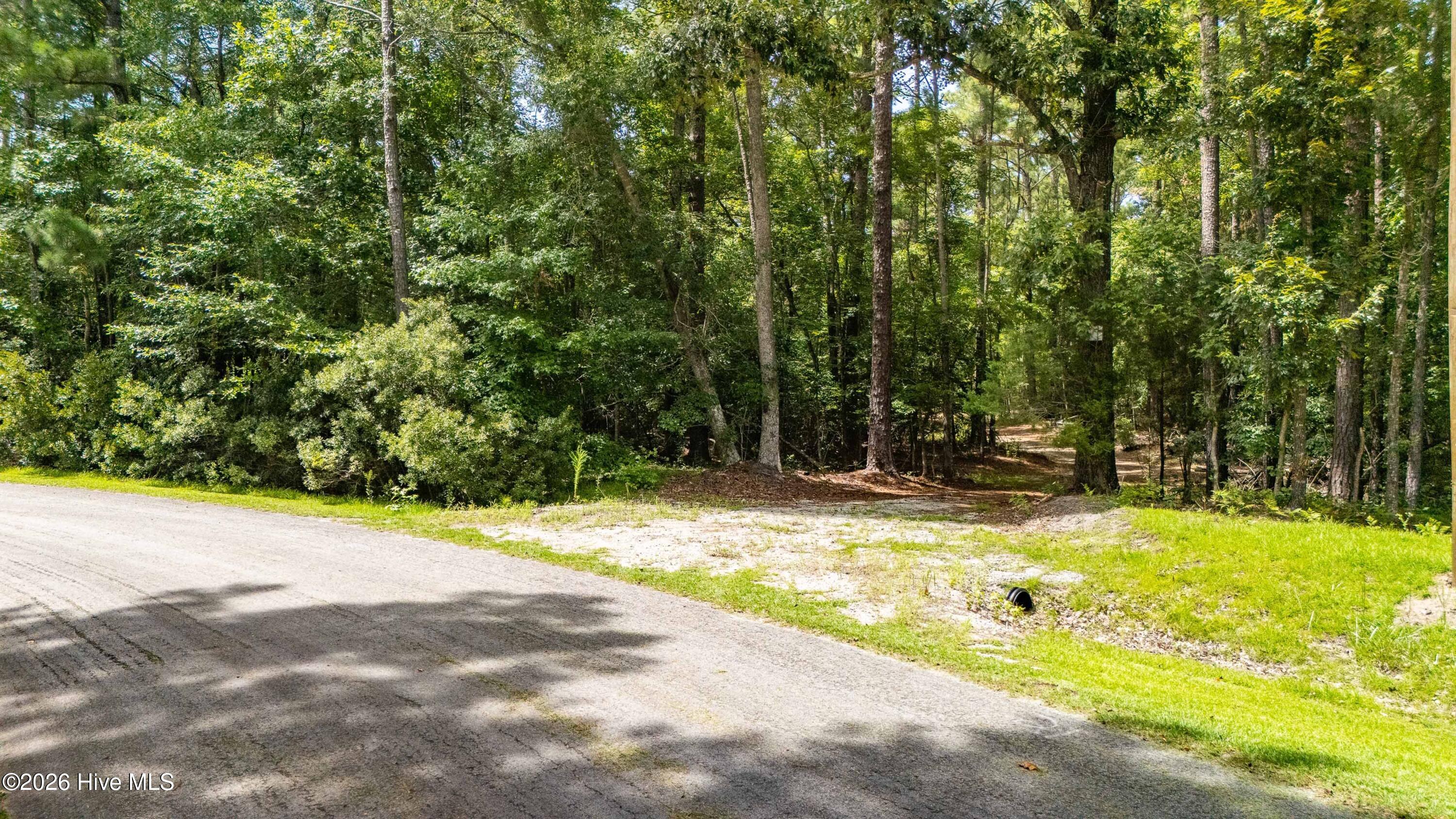3rd image of 000 Jeff Rd, Arapahoe, NC 28510 | MLS# 100596364