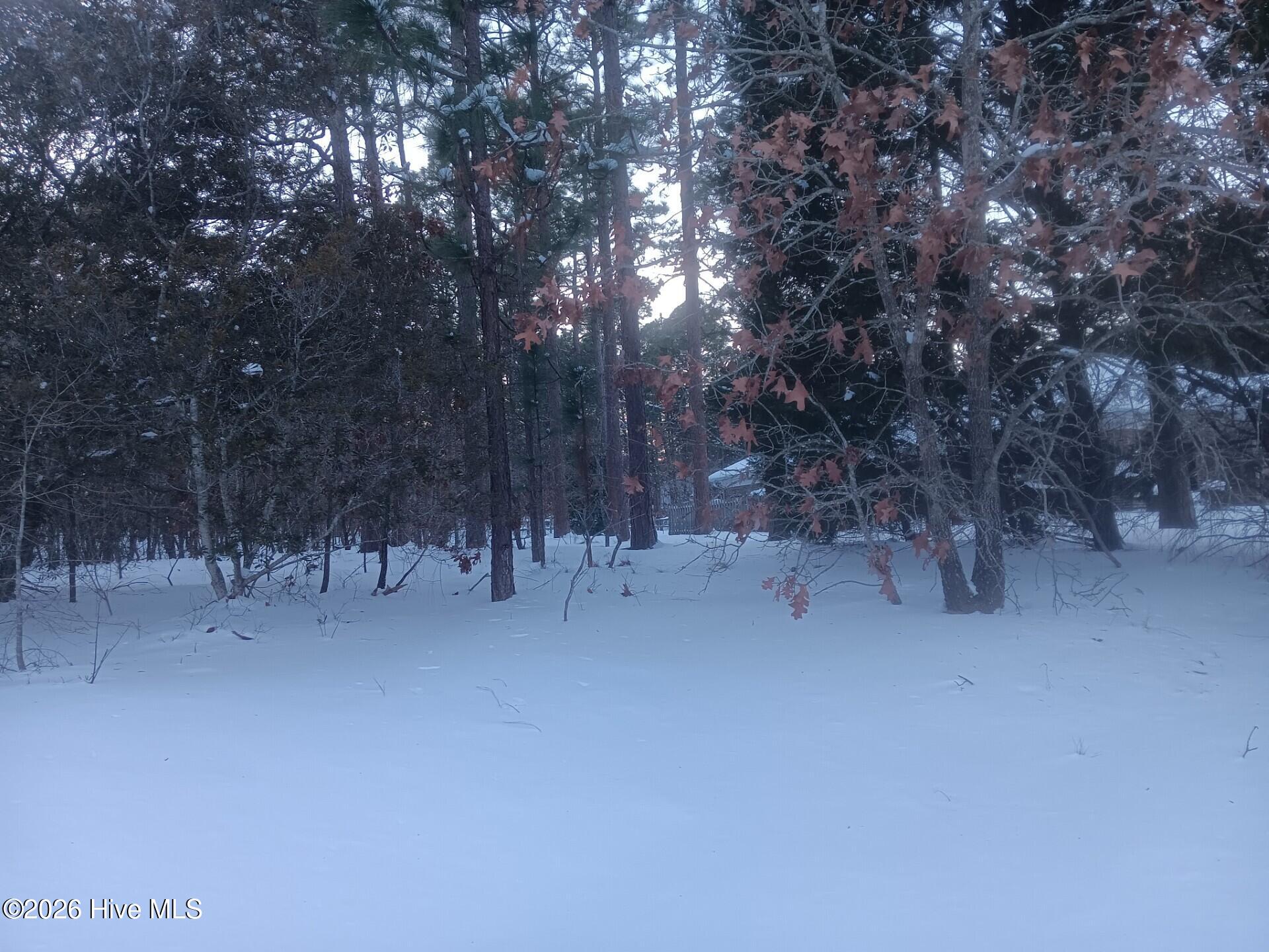 Homes for sale in Southern Pines, NC | 105 Steeplechase Wy, Southern Pines, NC 28387 | MLS# 100552384