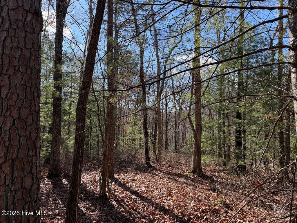 Exterior photo of Lot 20 Yellow Maple Lane, Murphy, NC 28906. MLS: 100591584