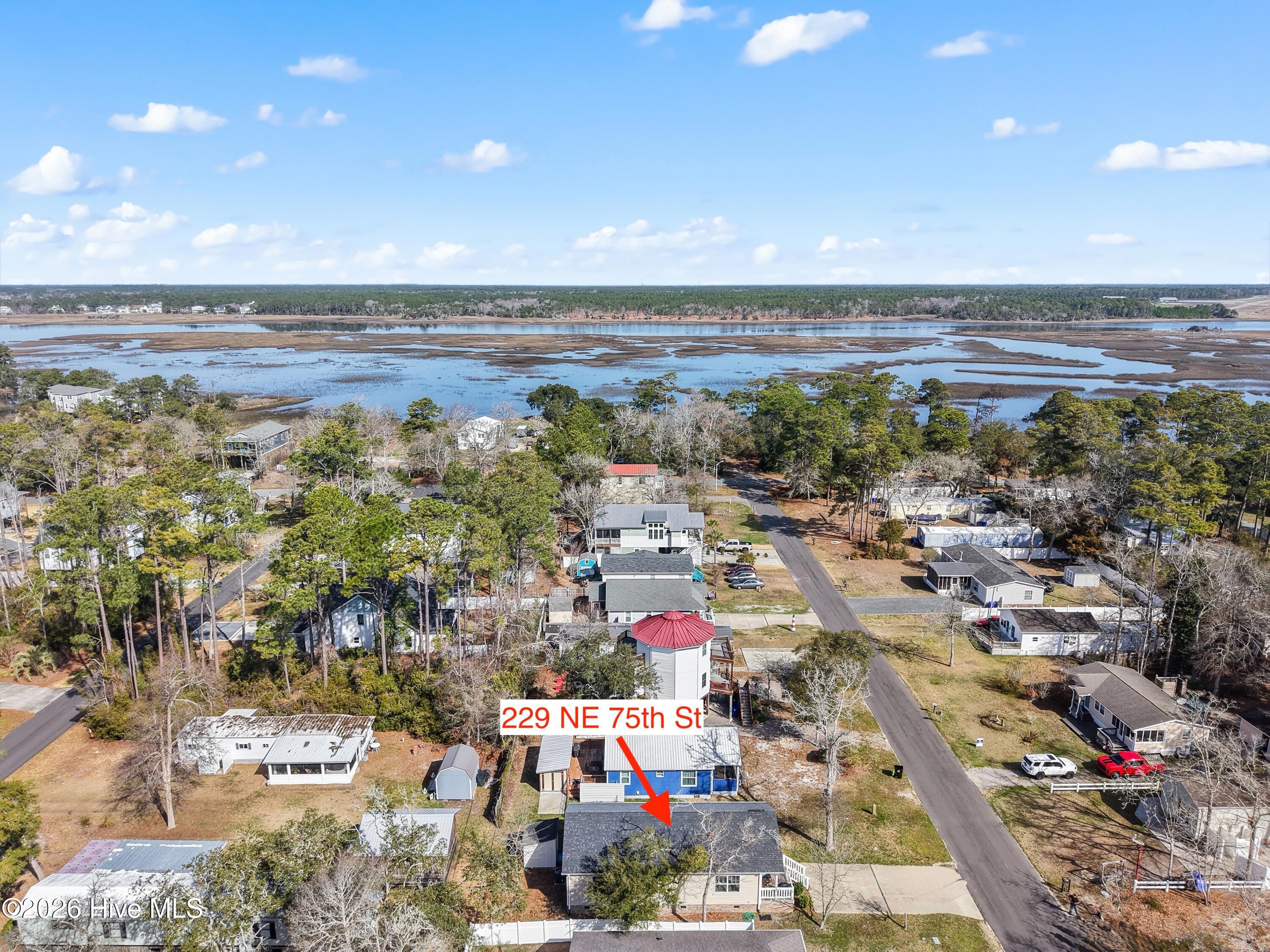 100558691 | Photo 34