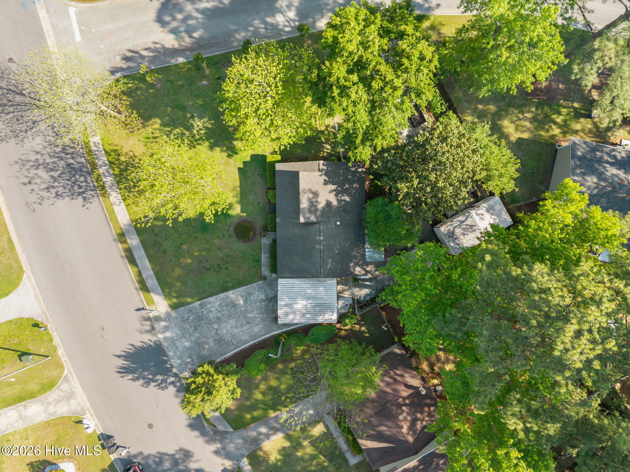 100567245 | Photo 38