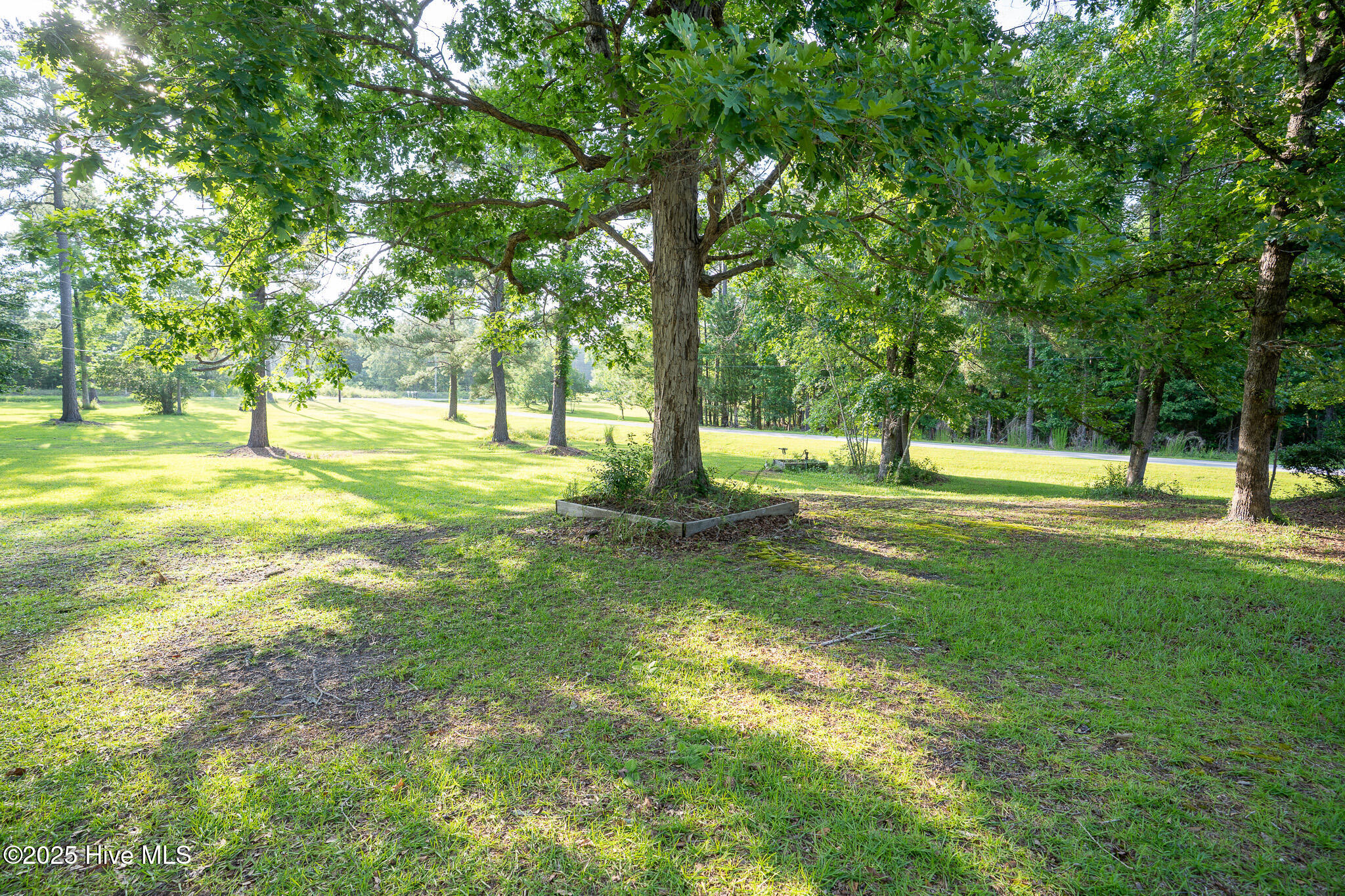 100513589 | Photo 23