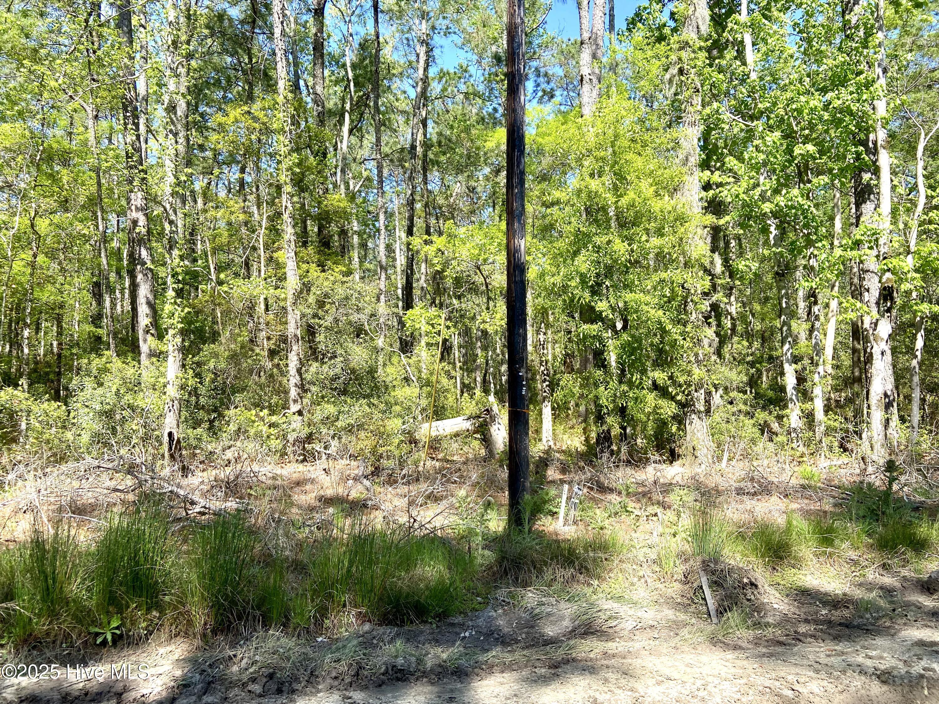 Lot 2 Berrys Creek 