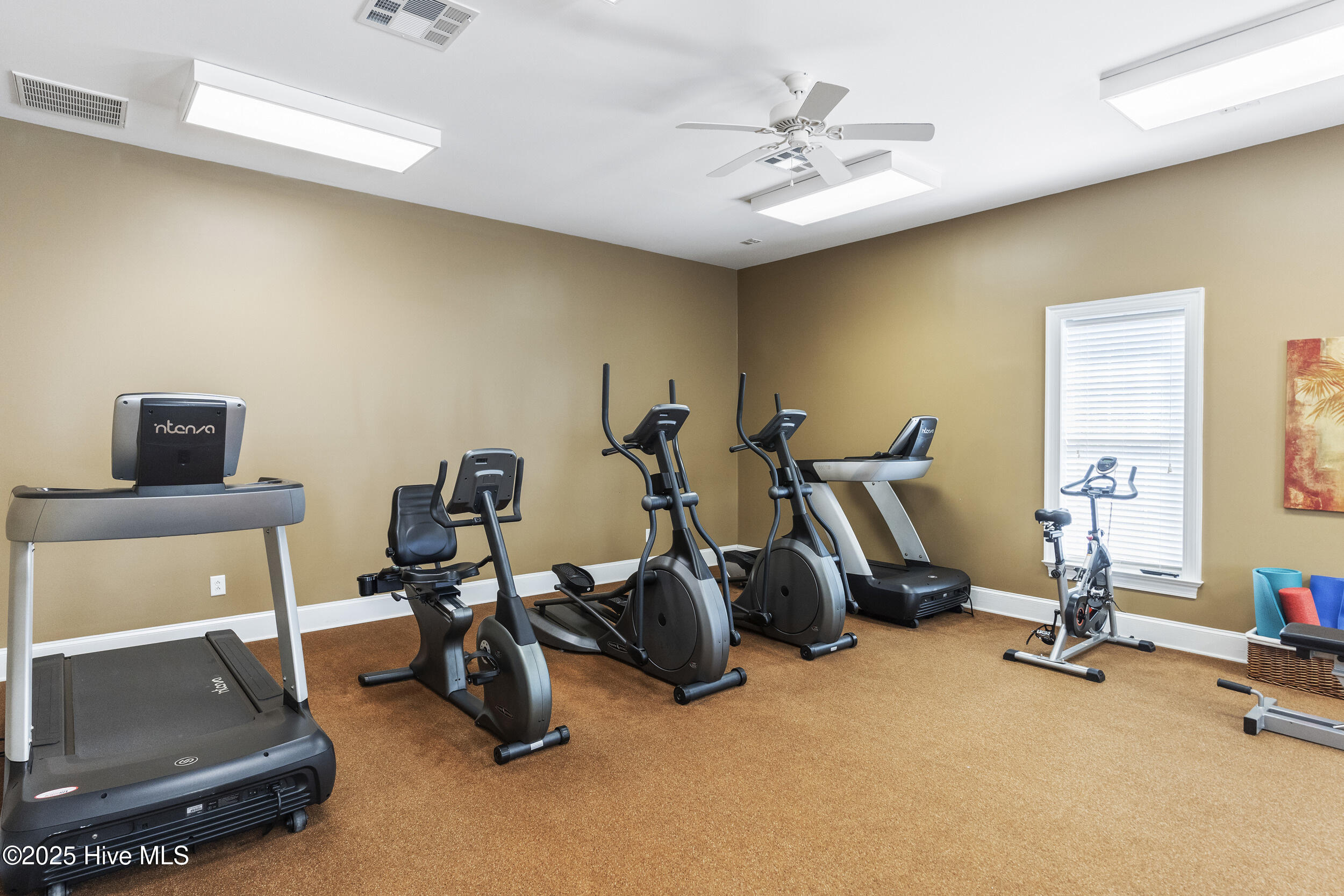 100519545 | Photo 42