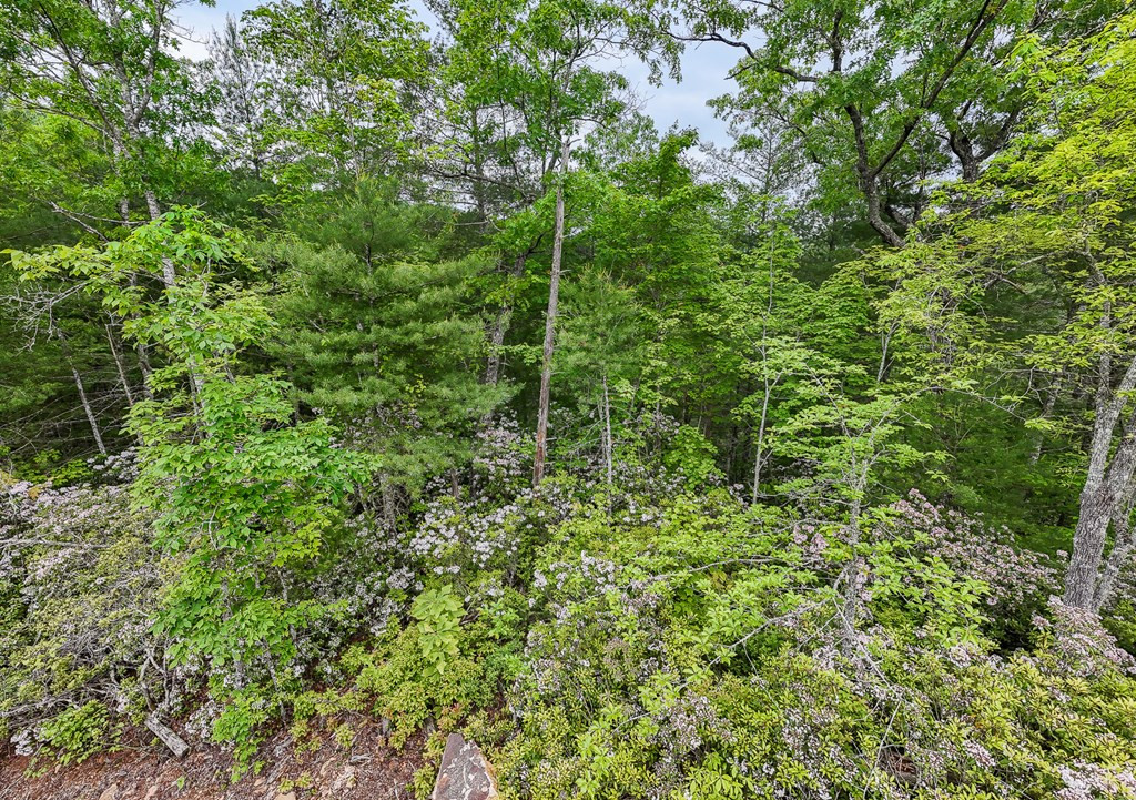 Exterior photo of 399 Shell Stand Road, Almond, NC 28702. MLS: 98524677