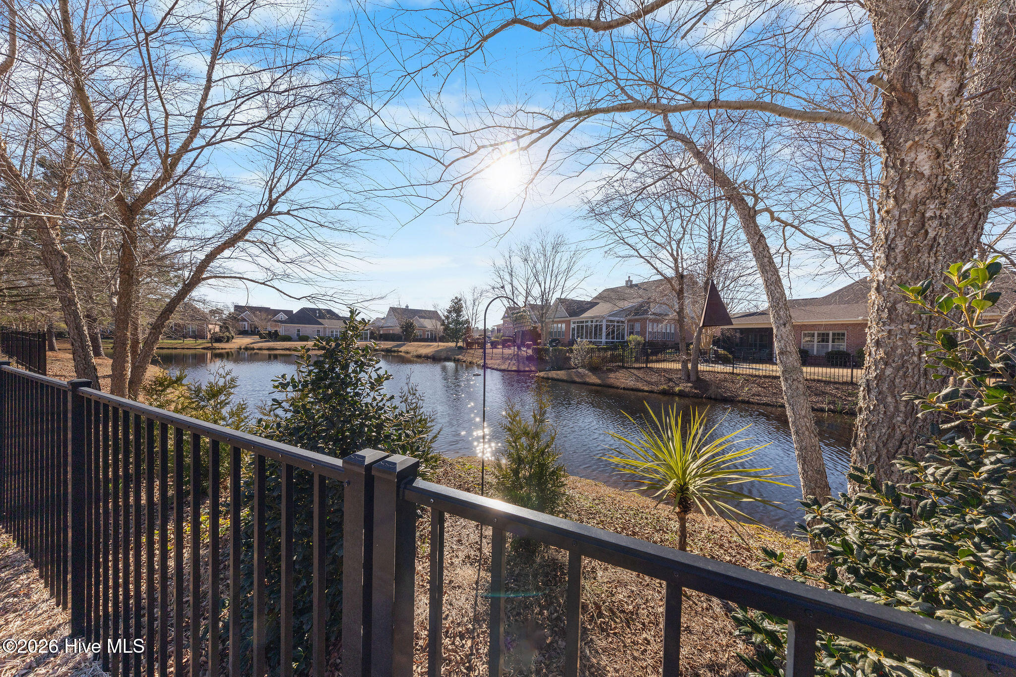 100564801 | Photo 37