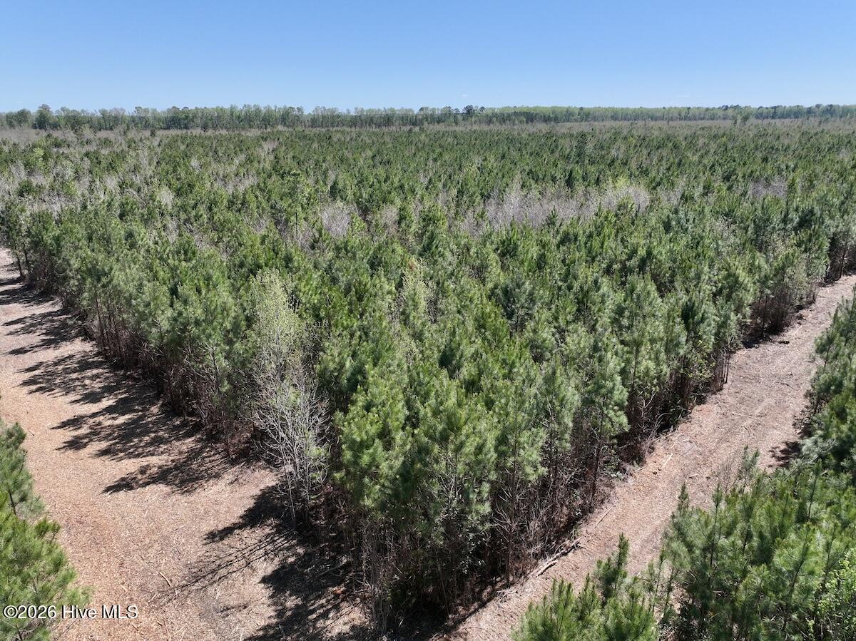 0 Guinea Mill Road, Ernul, NC, 28527