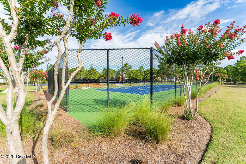 100558848 | Photo 57