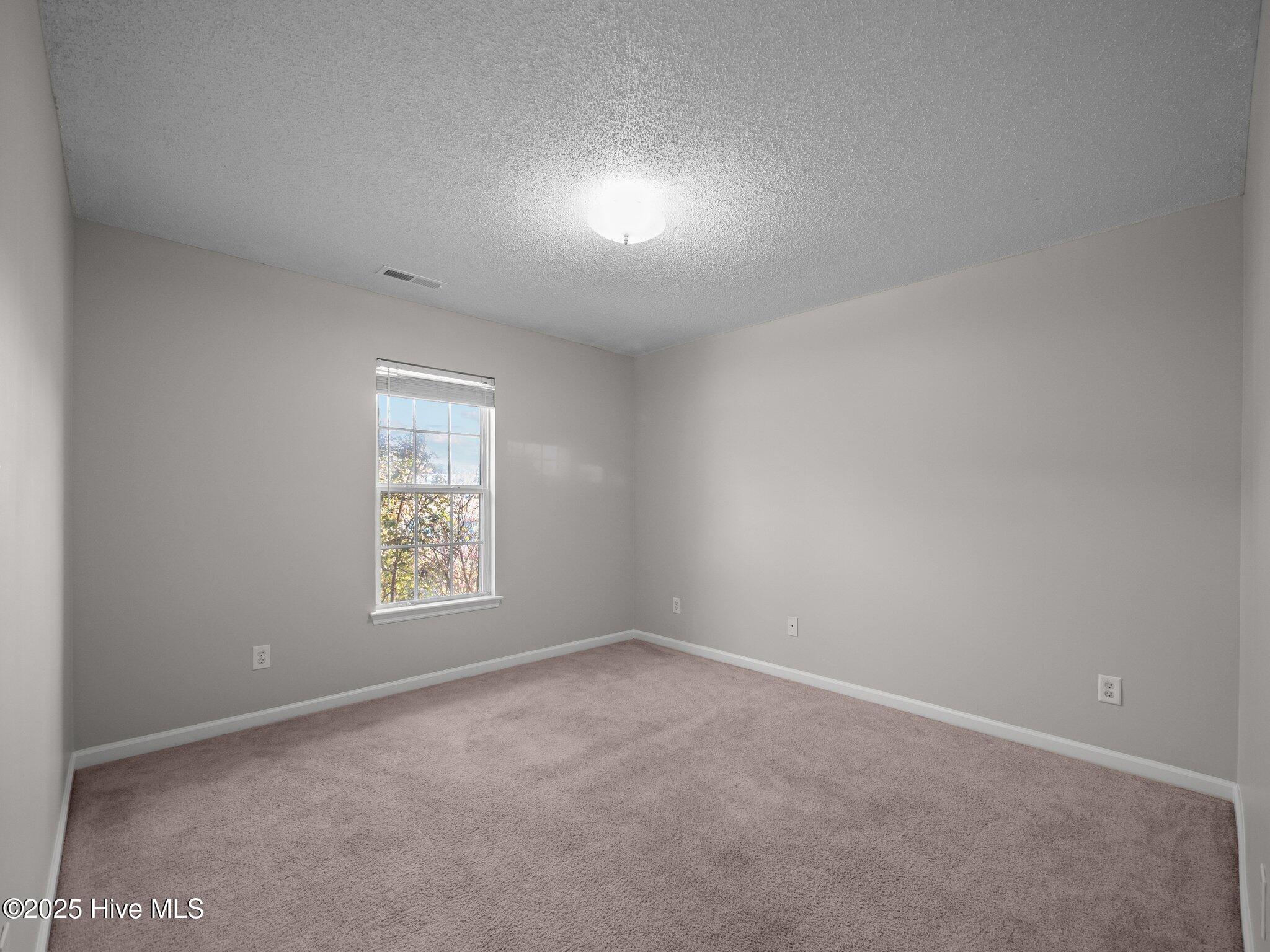 100570696 | Photo 10