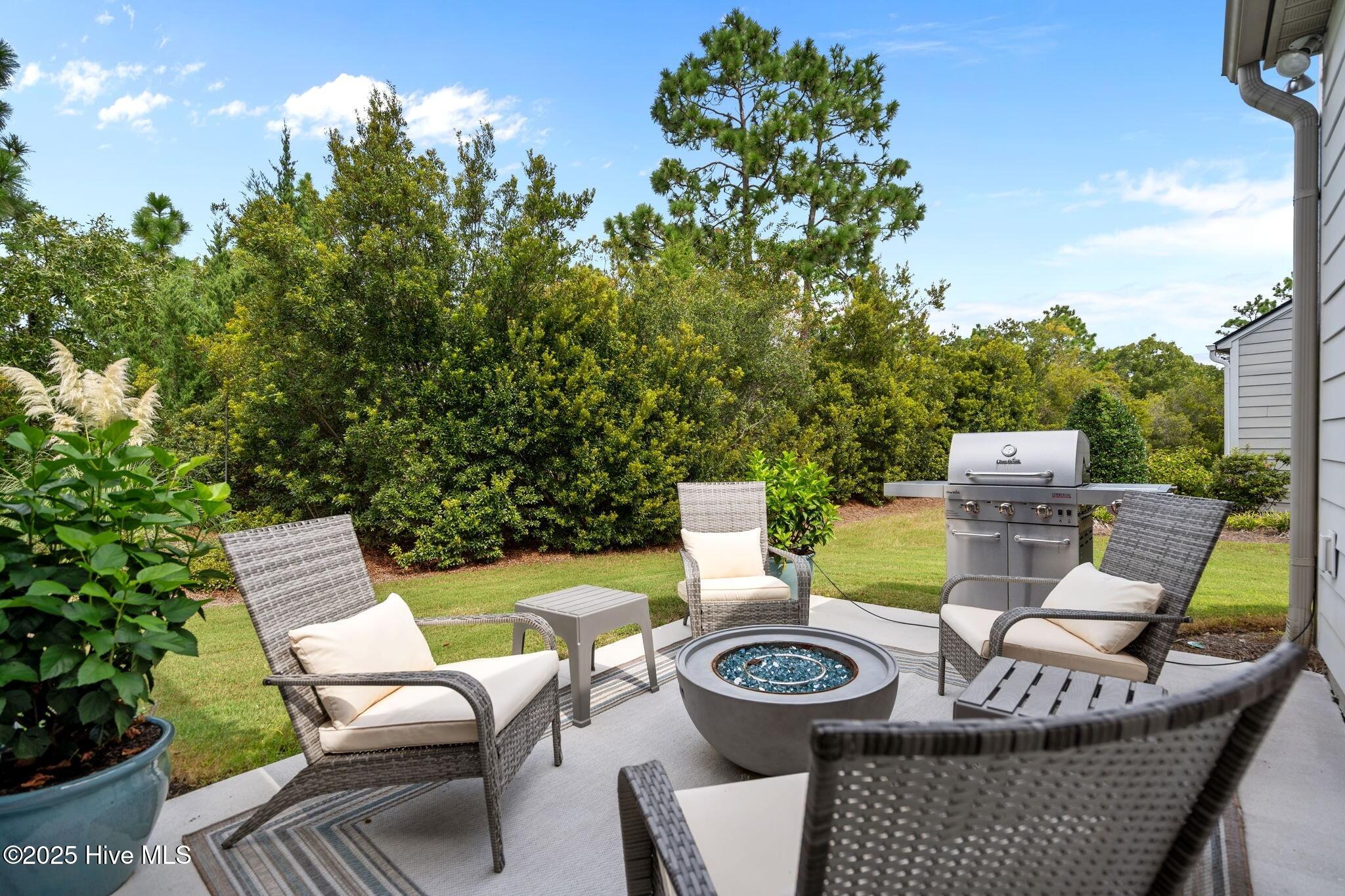 100528063 | Photo 41