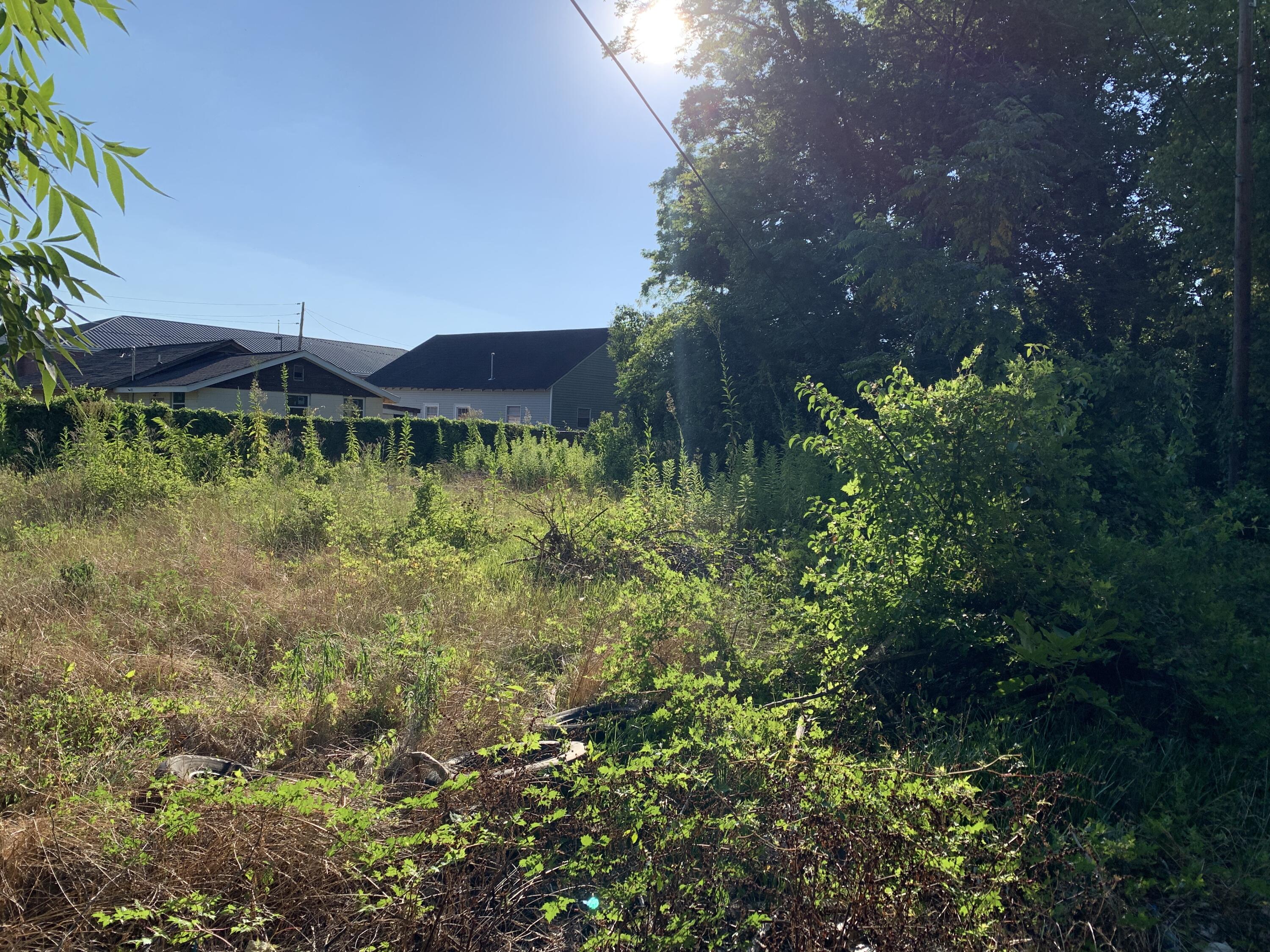 lot 1 Frazier Drive, Riceboro, GA, 31323