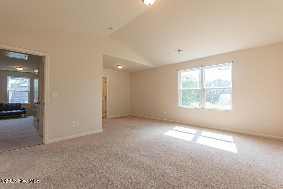 100565114 | Photo 19